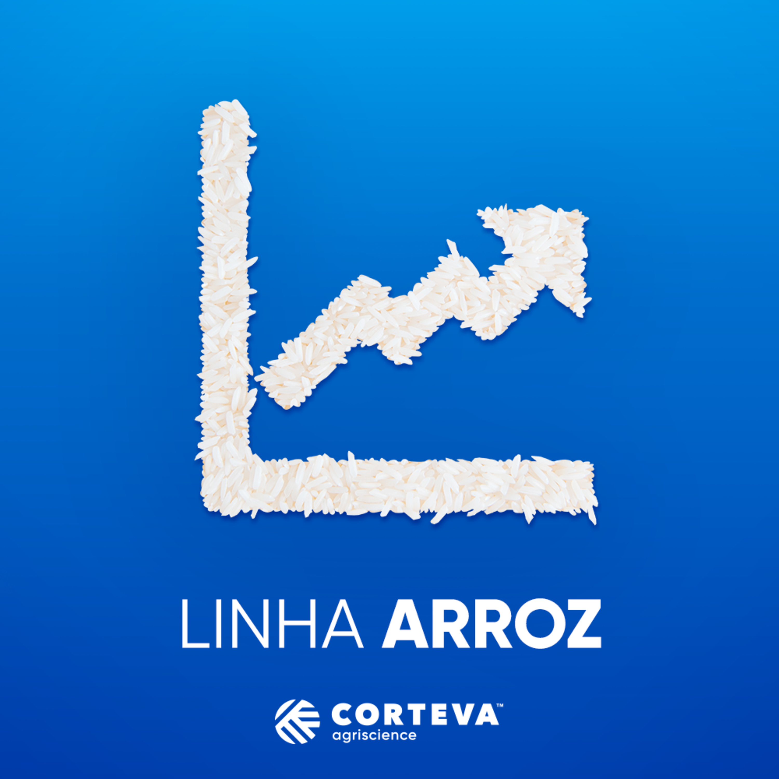 Acredite no Arroz