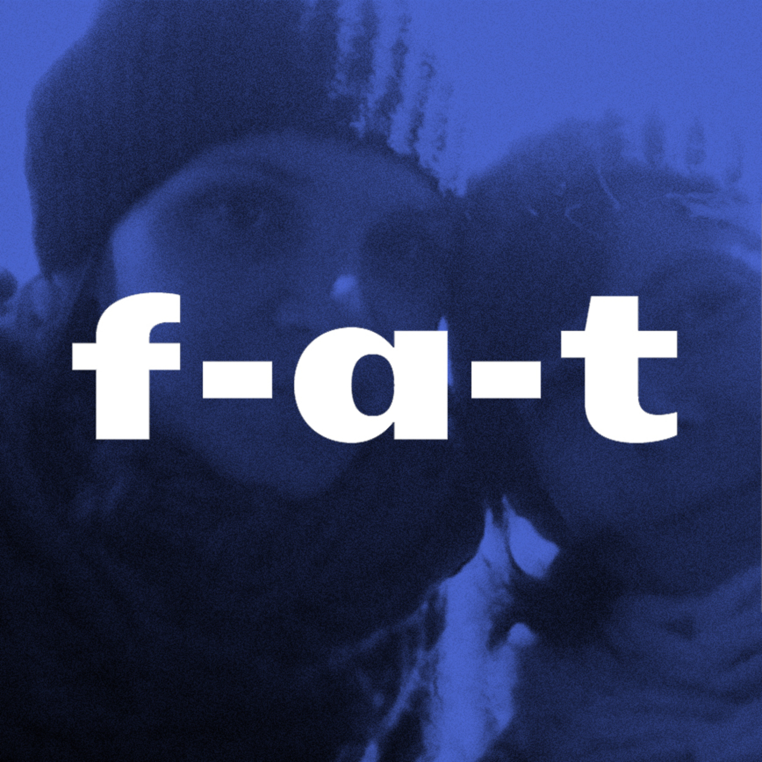 #005 - Kateřina Karhánková & Alexandra Májová: Mlsné medvědí povídání