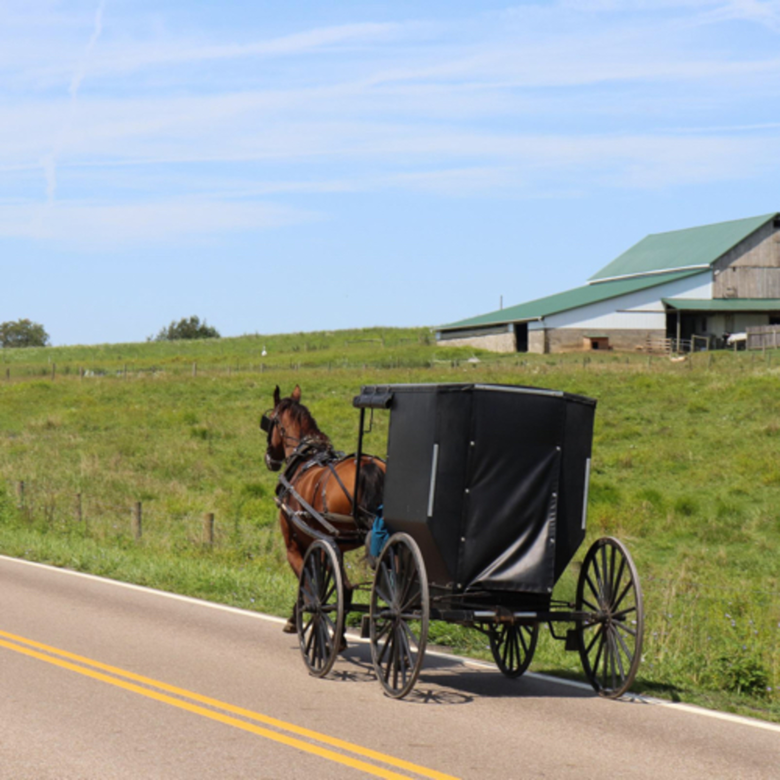 How the Amish Flourished episode artwork