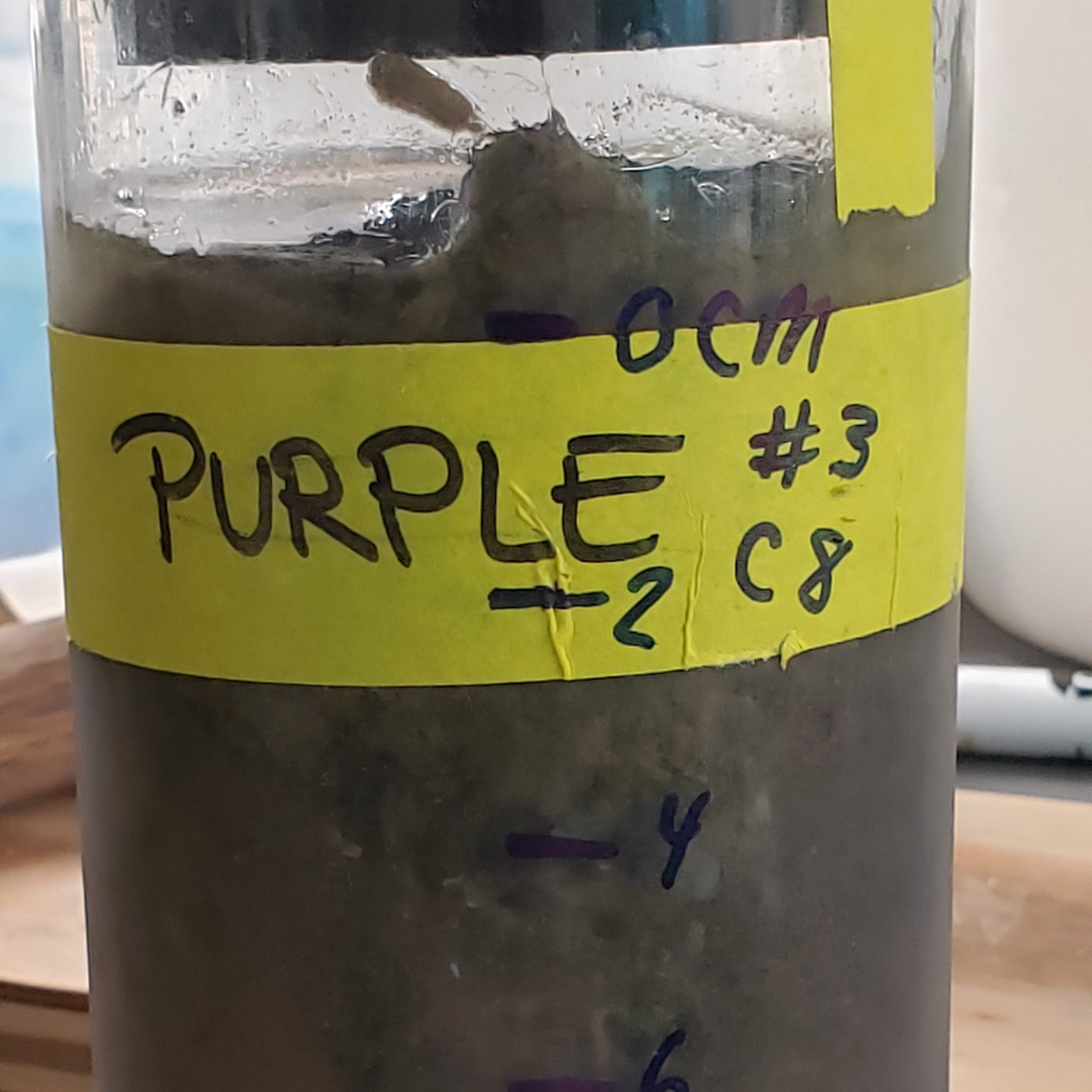 Doing Soil Extractions. episode artwork