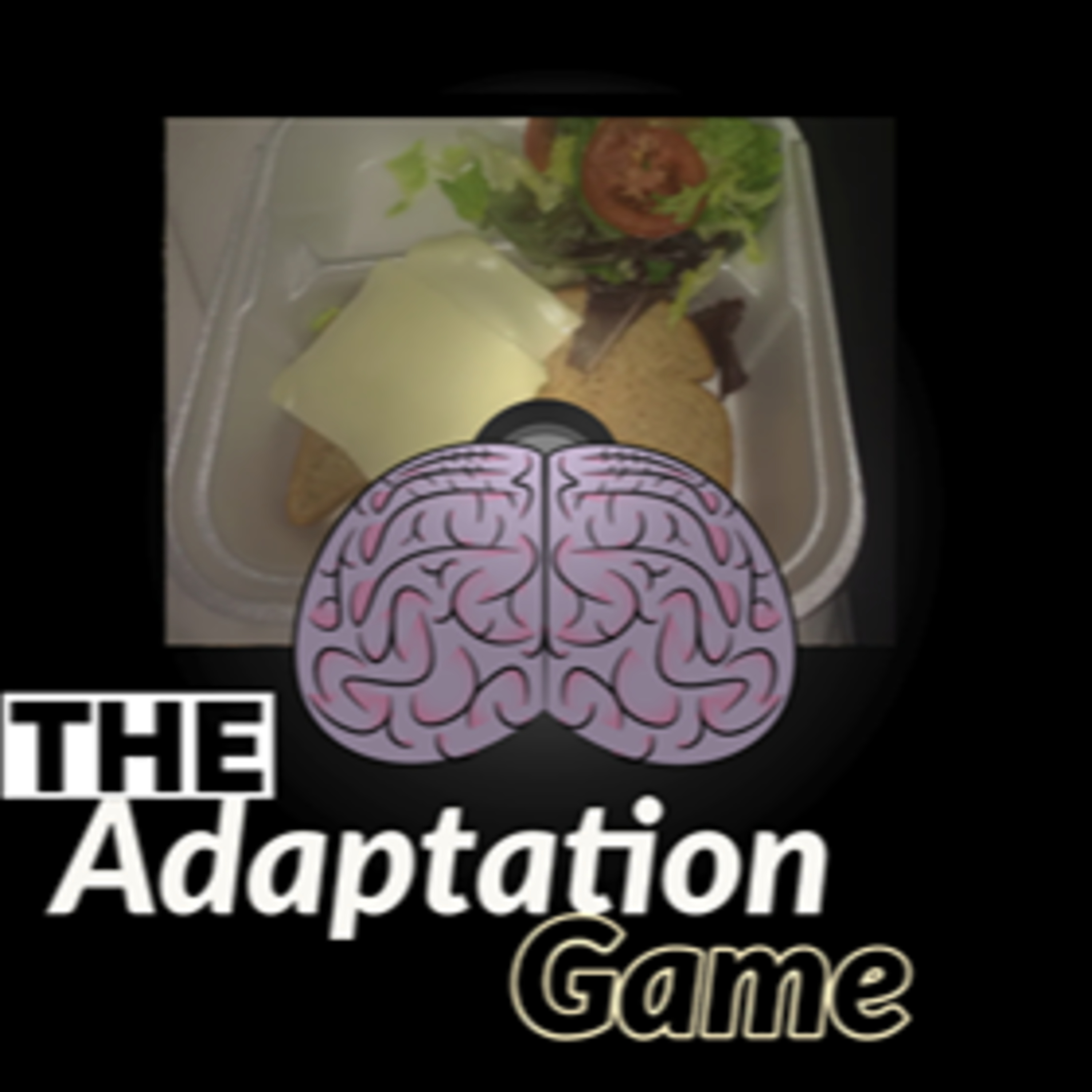 The Adaptation Game