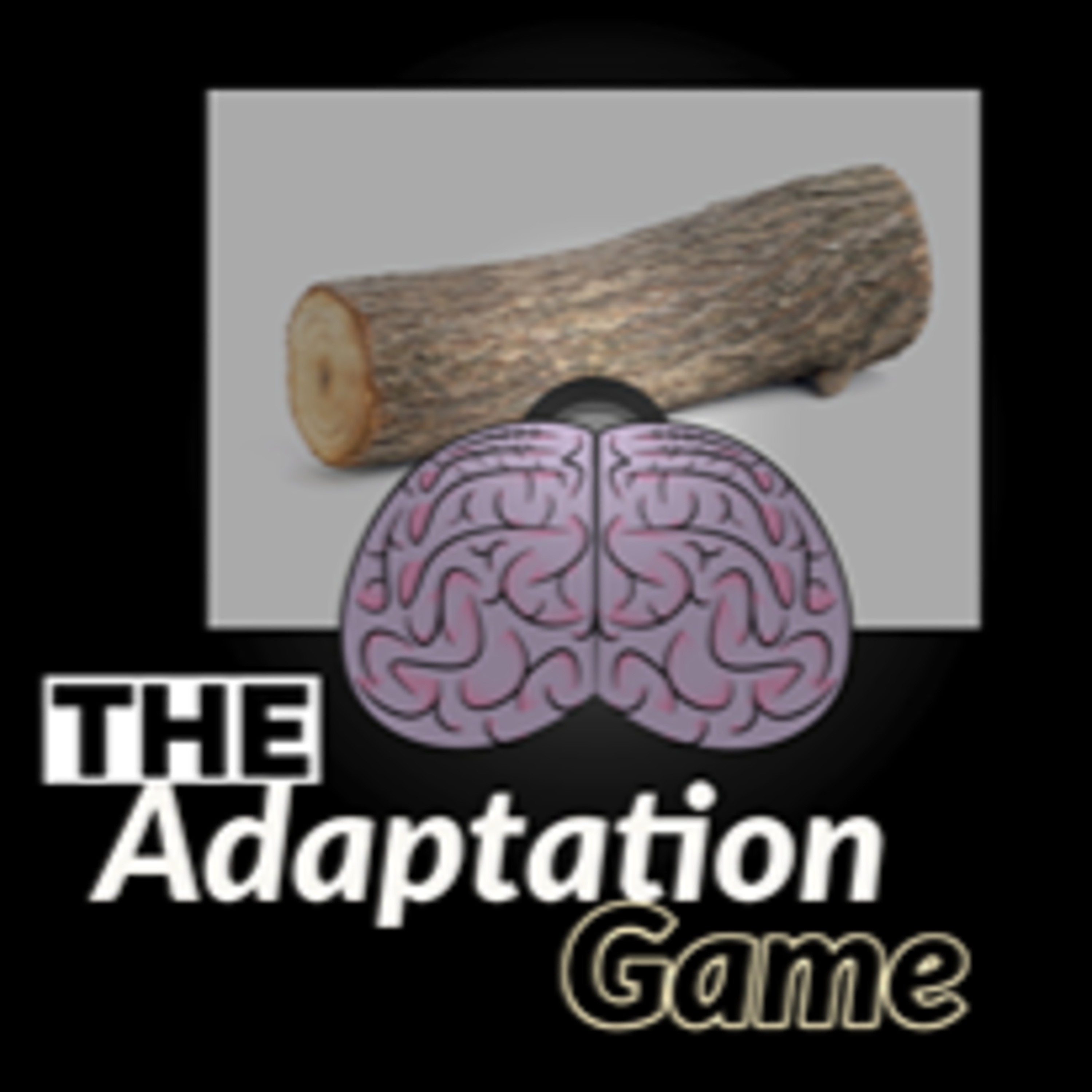 The Adaptation Game