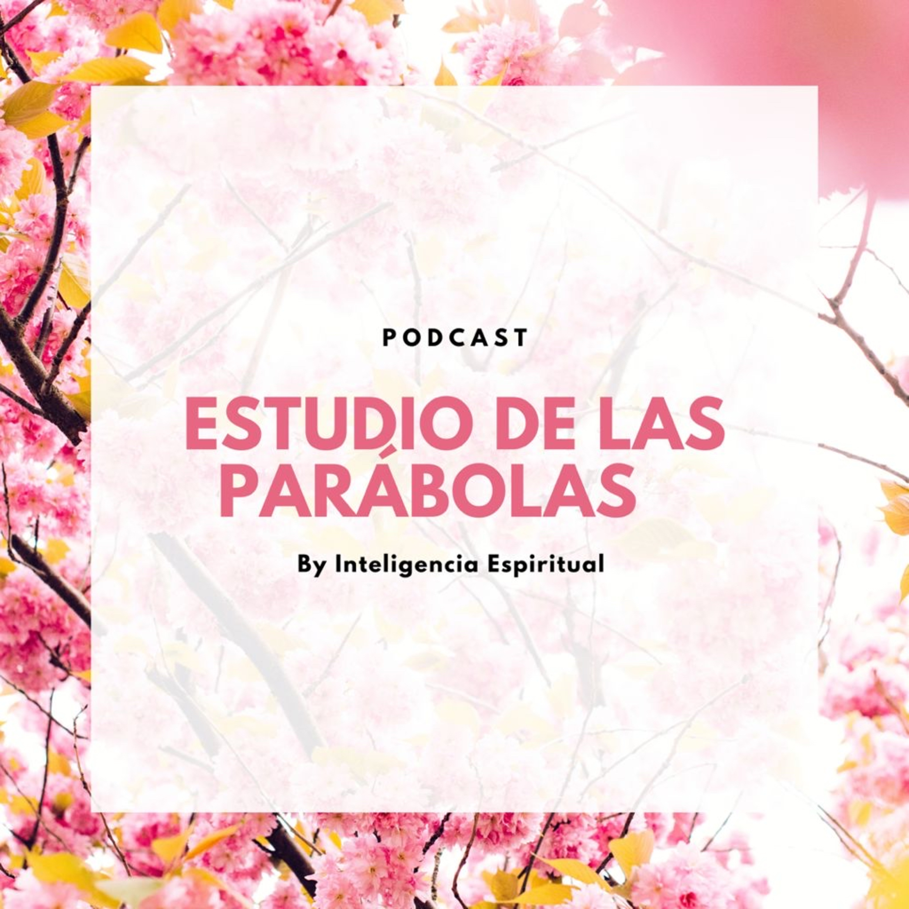 ESTUDIO DE LAS PARÁBOLAS: el tesoro escondido y la perla de gran precio episode artwork