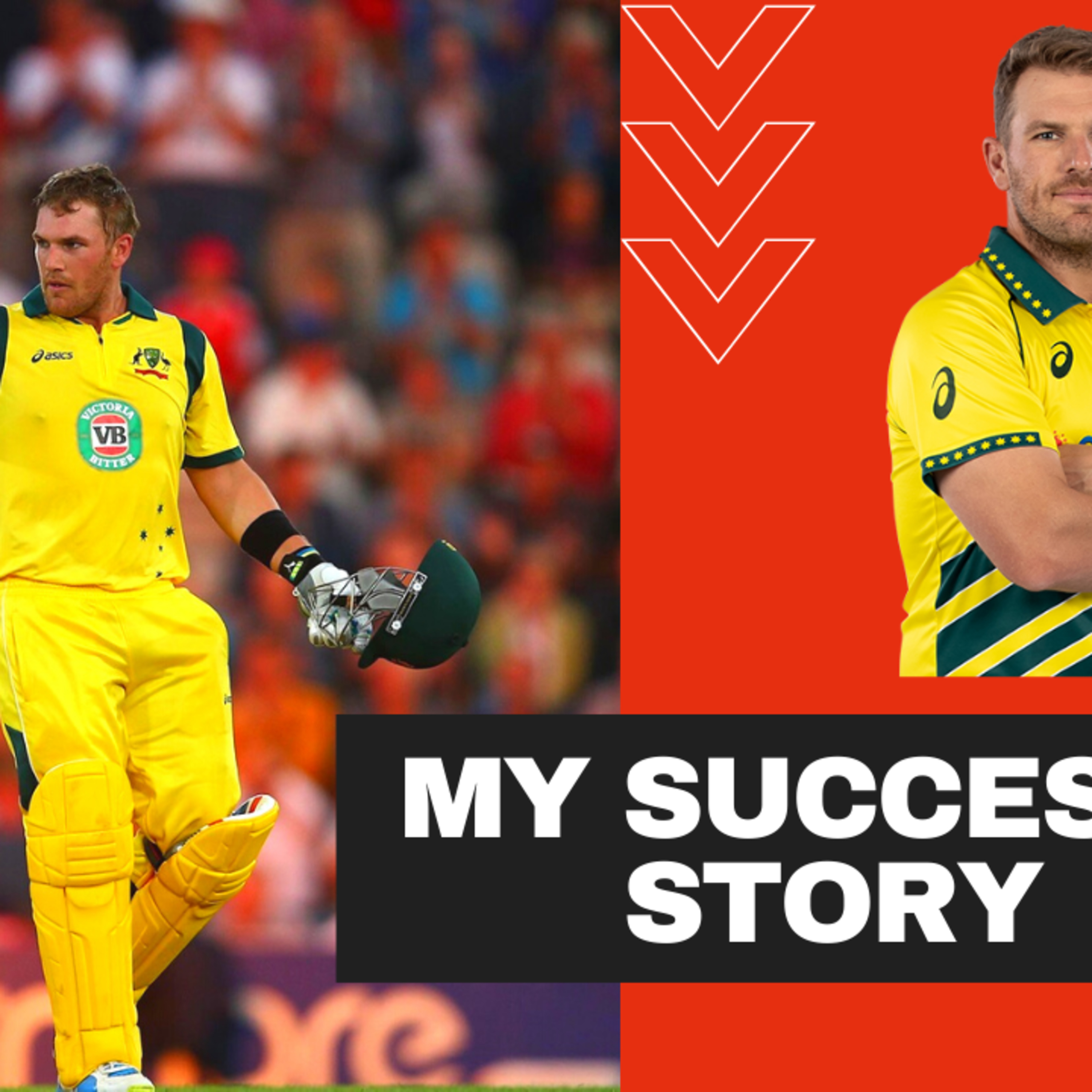 AARON FINCH SUCCESS MOTIVATION STORY IN HINDI | WIFE FAMILY NET WORTH AGE | IPL CRICKET |