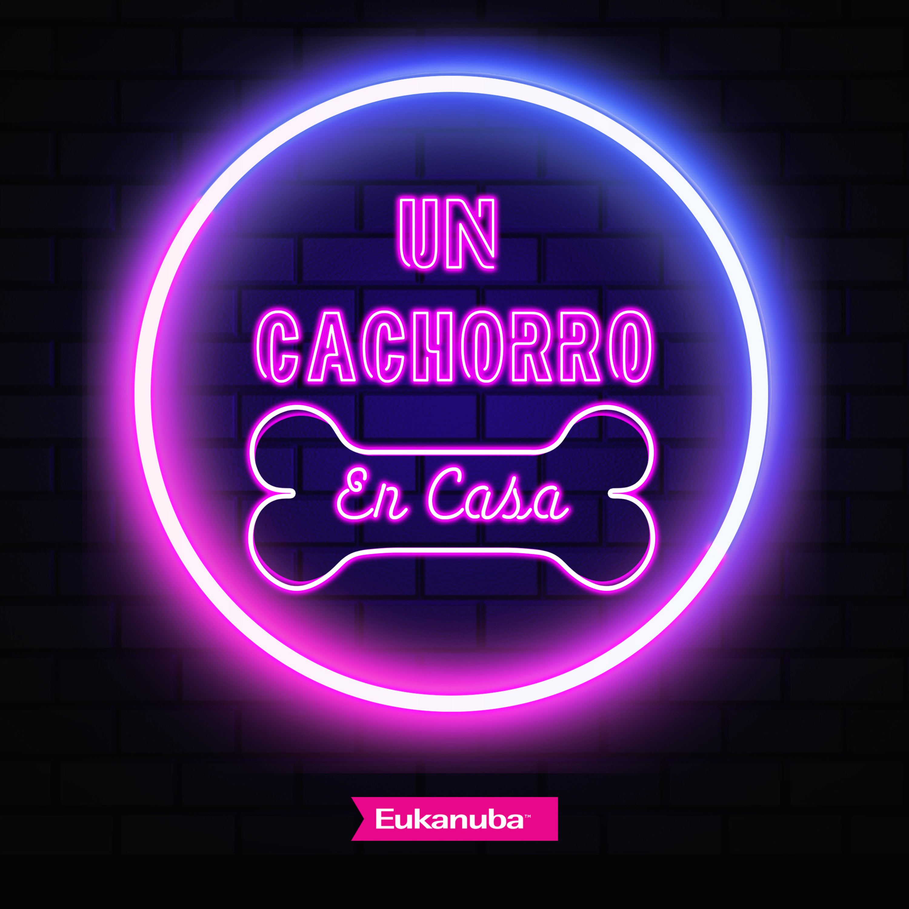 Trailer - Un cachorro en casa, by Eukanuba episode artwork