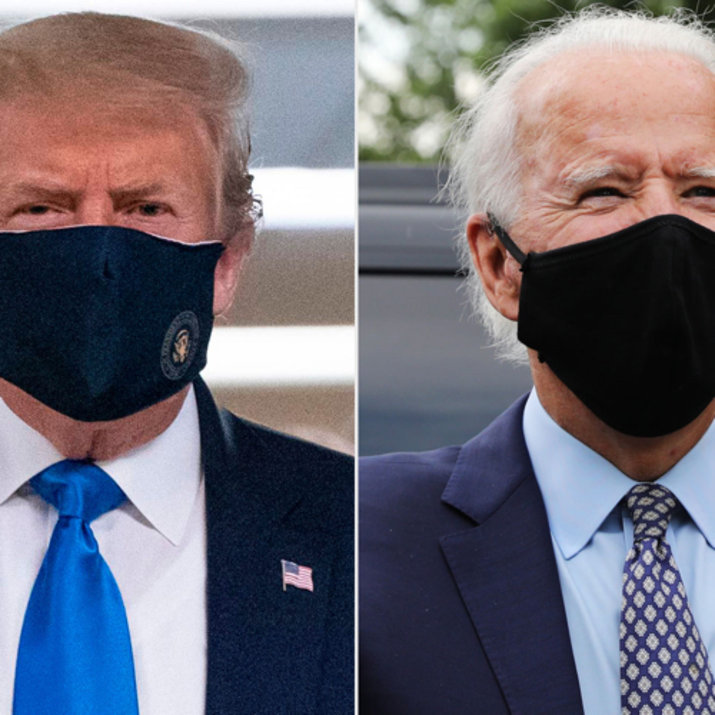 Politics Unmasked