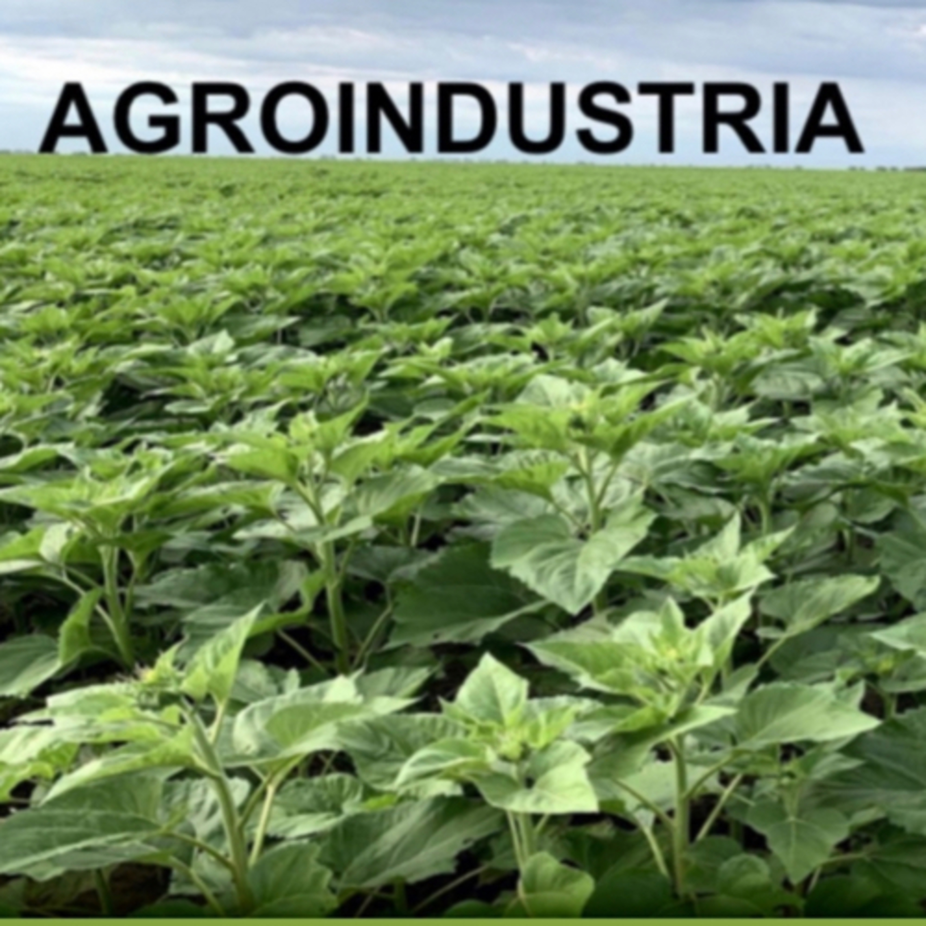 Portada de Agroindustria