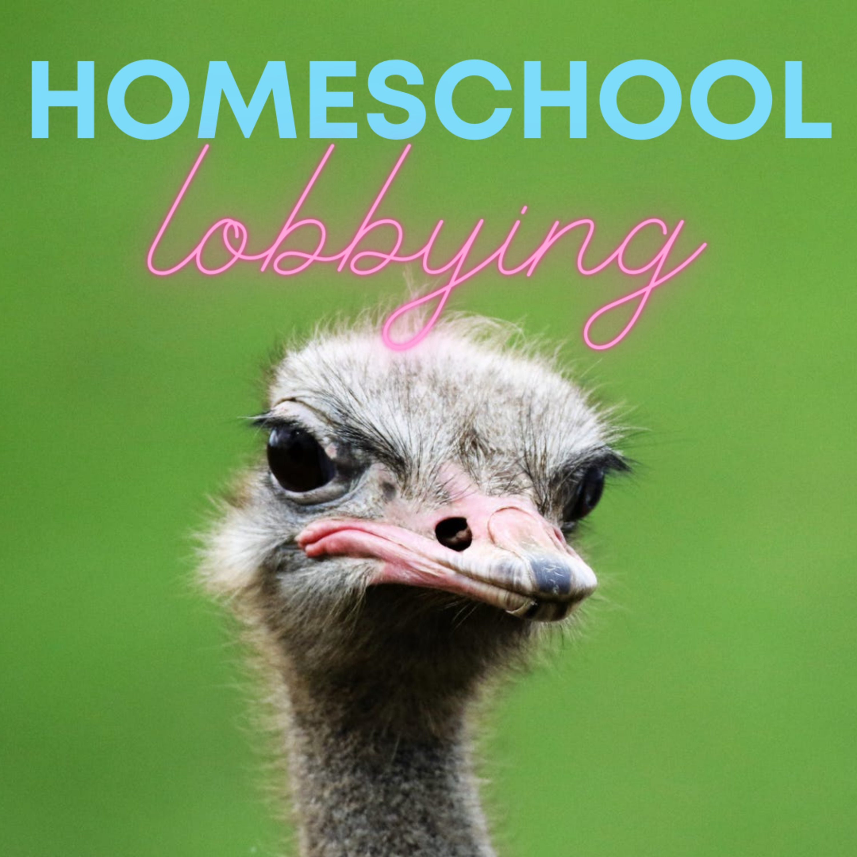 PORA NA PODCAST - Homeschooling po polsku.