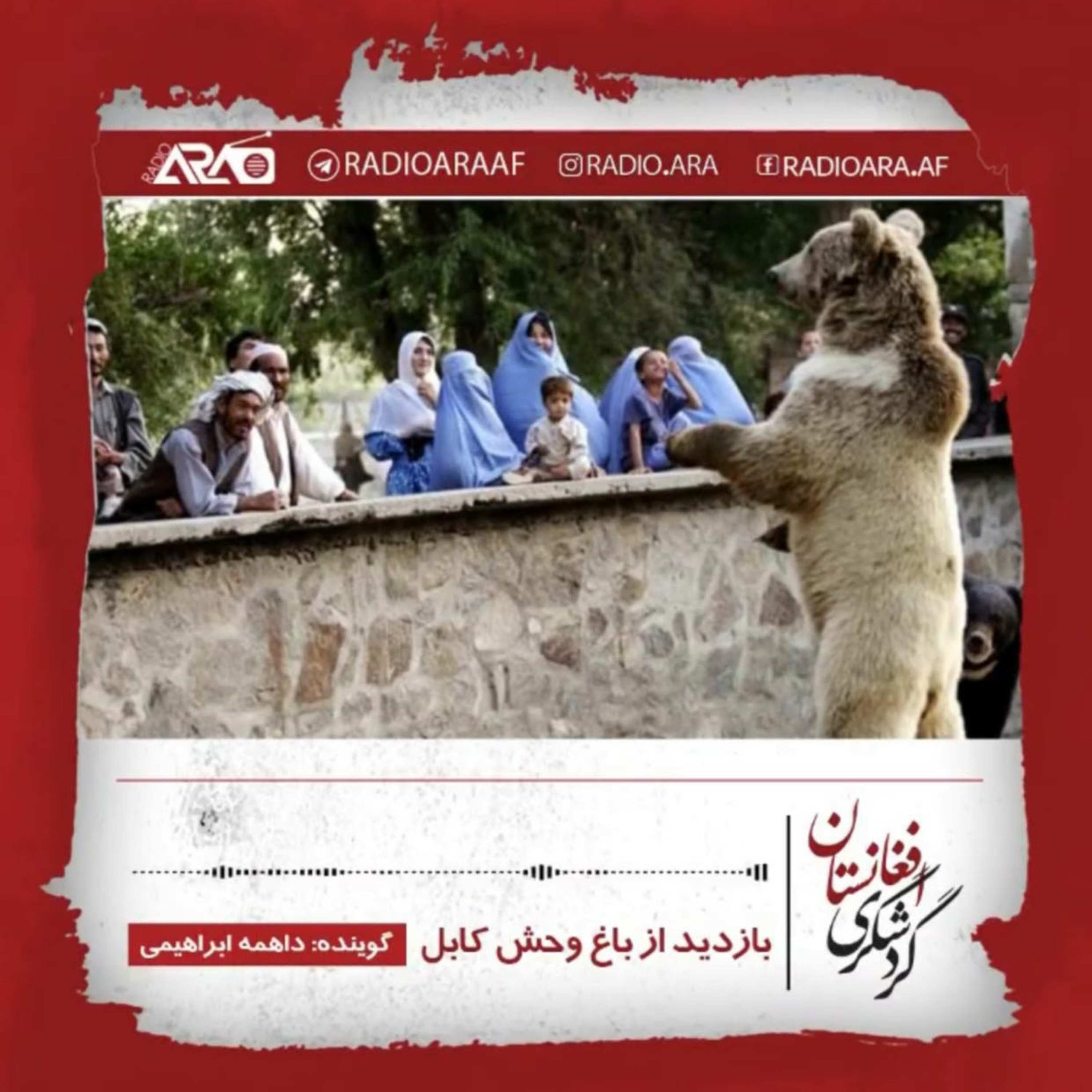 کاور گردشگری_«باغ وحش کابل»