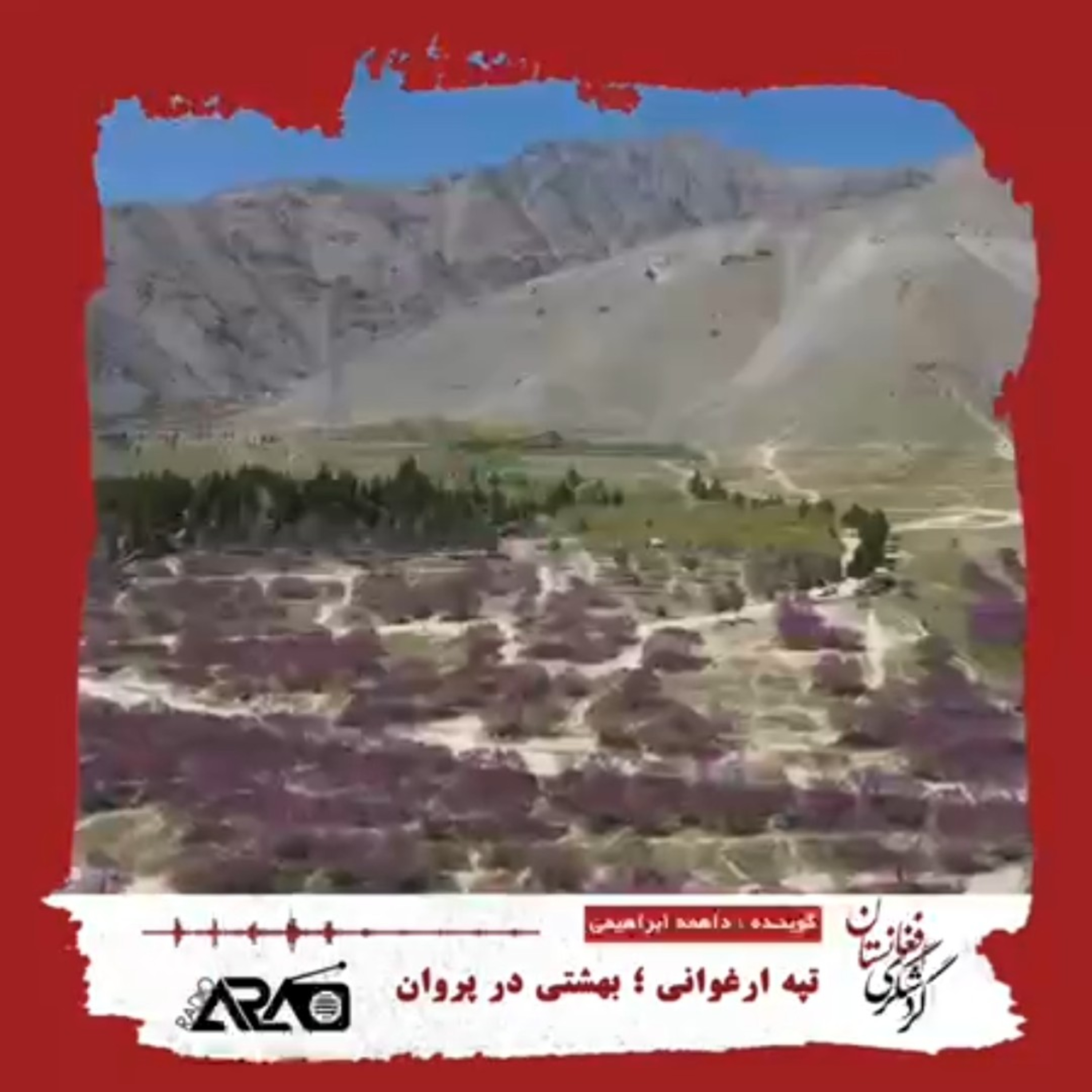 کاور گردشگری_«تپه ارغوانی»