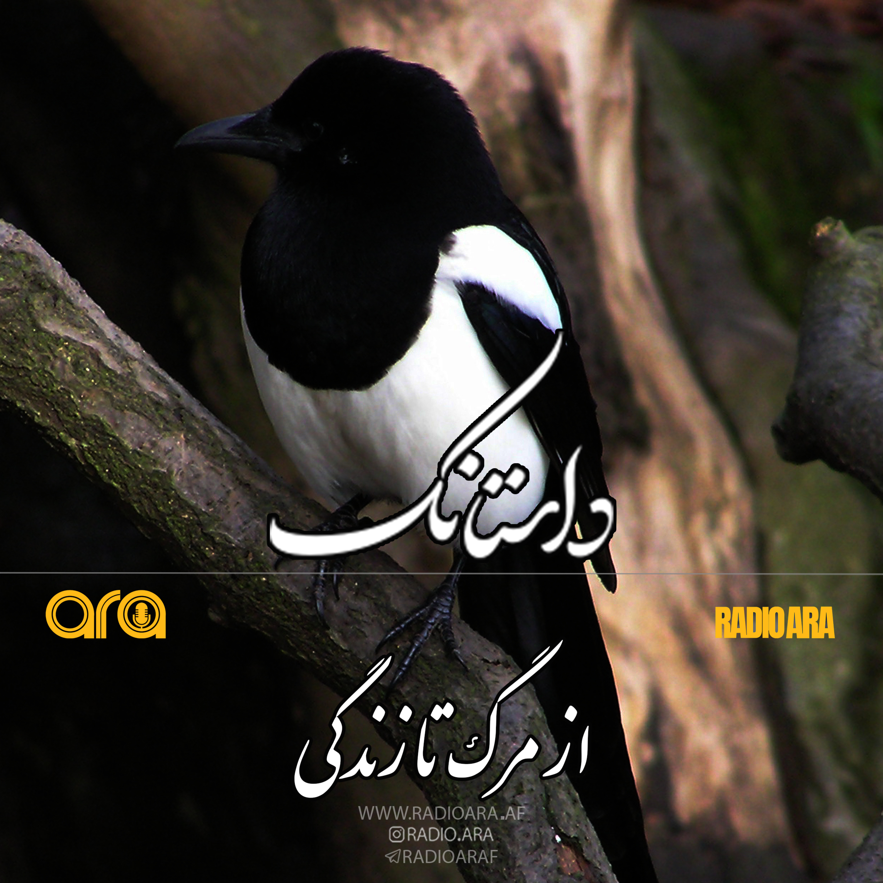 کاور داستانک؛ از مرگ تا زندگی