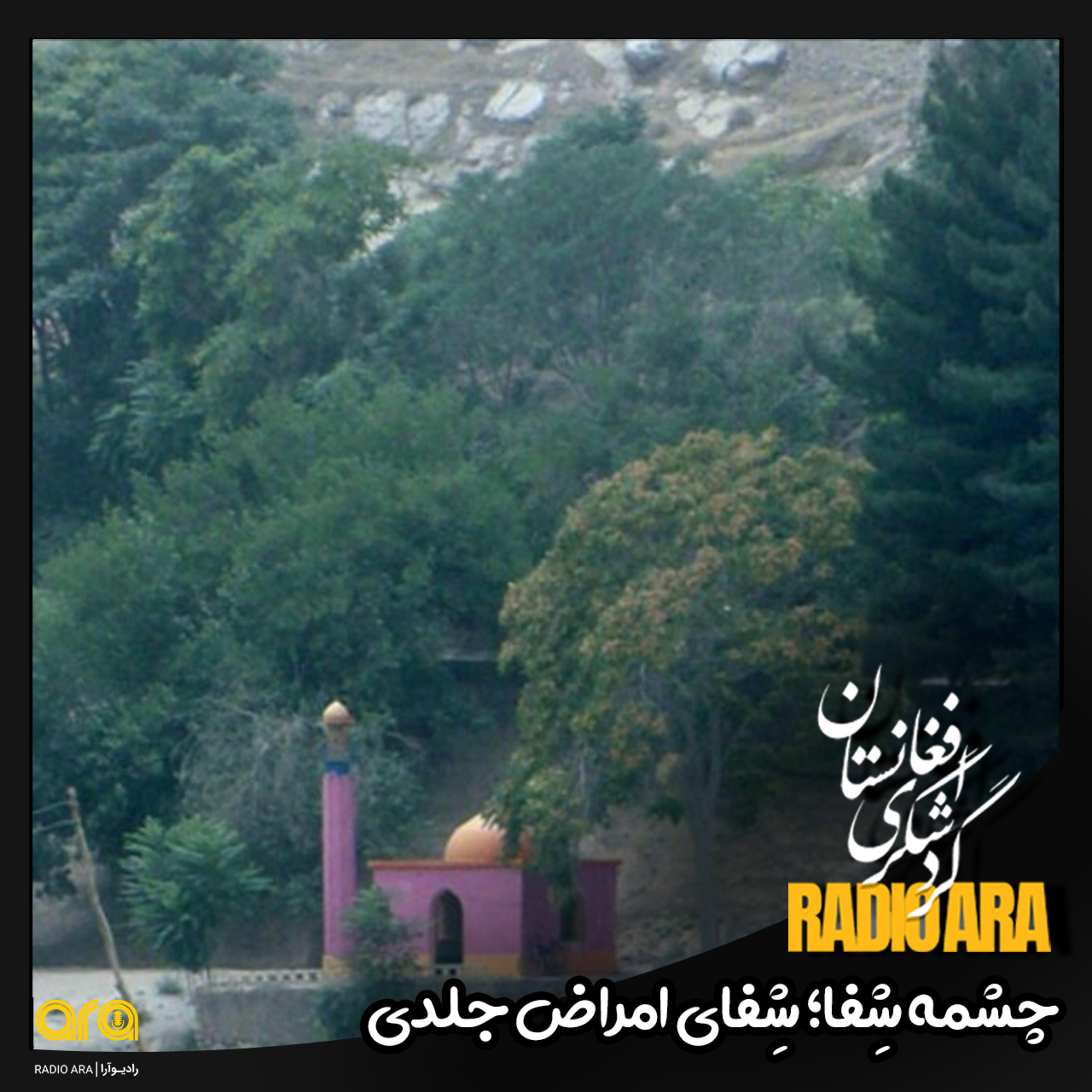 کاور چشمه شفا؛ شفای امراض جلدی