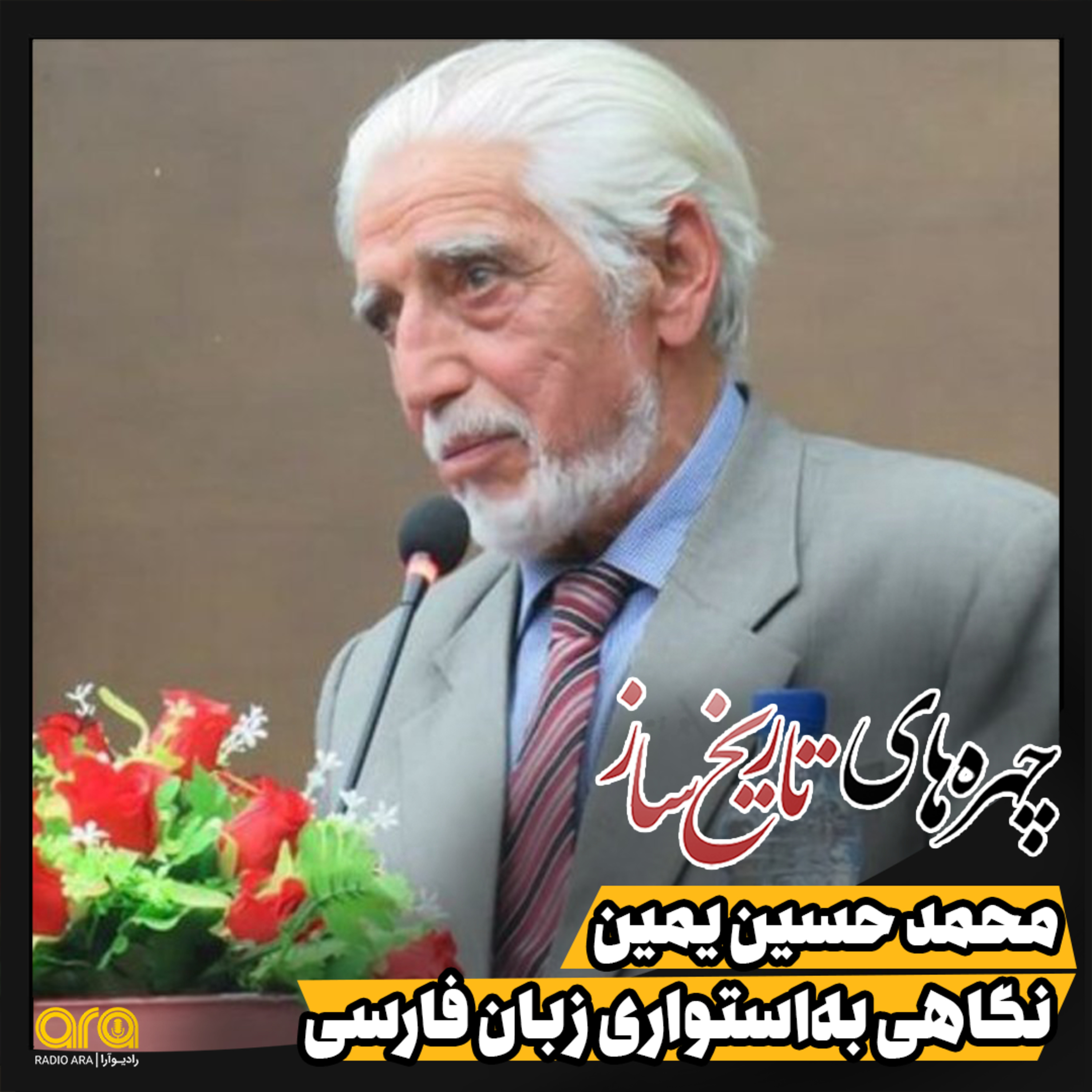 کاور محمدحسین یمین؛ نگاهی به استواری زبان فارسی
