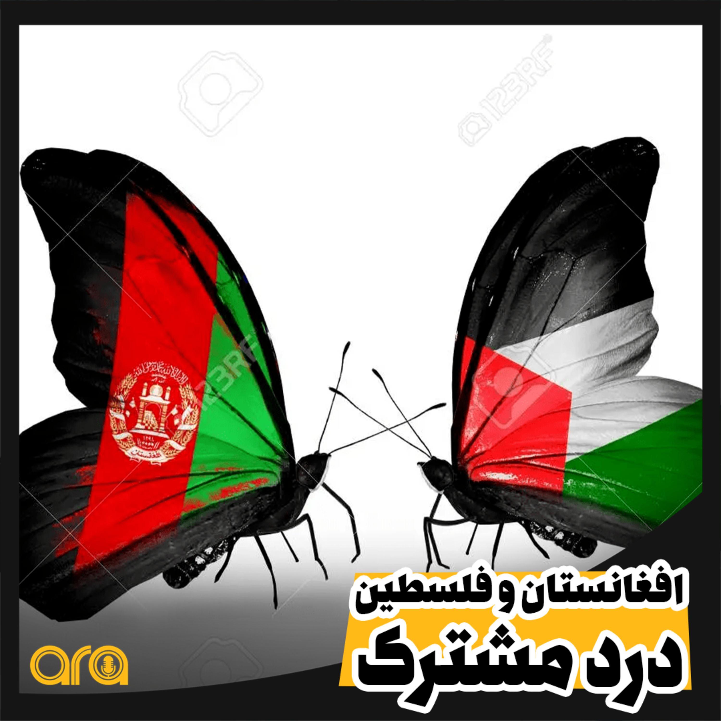 کاور افغانستان و فلسطین؛ درد مشترک