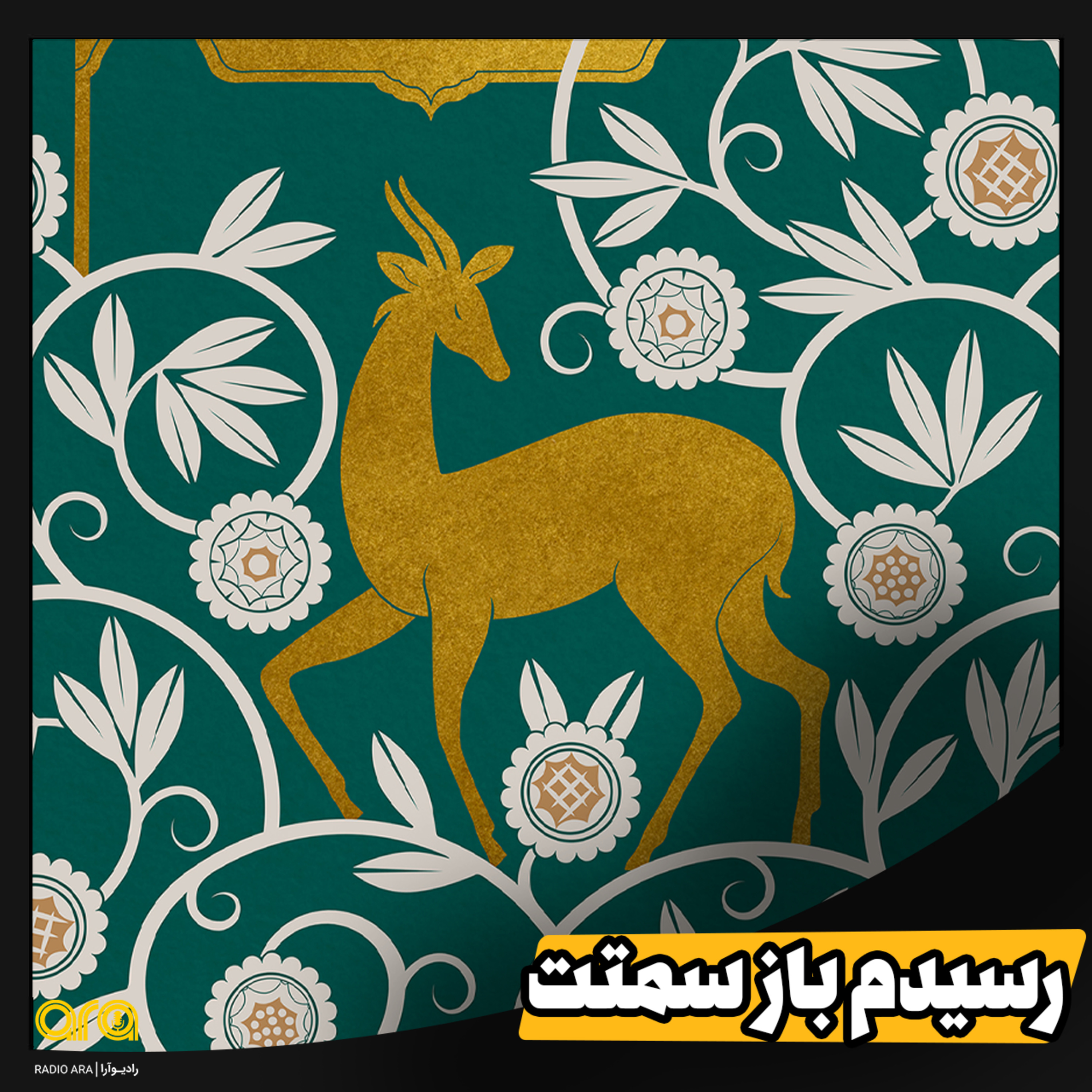 کاور رسیدم باز سمتت با دلی از قبل شیداتر