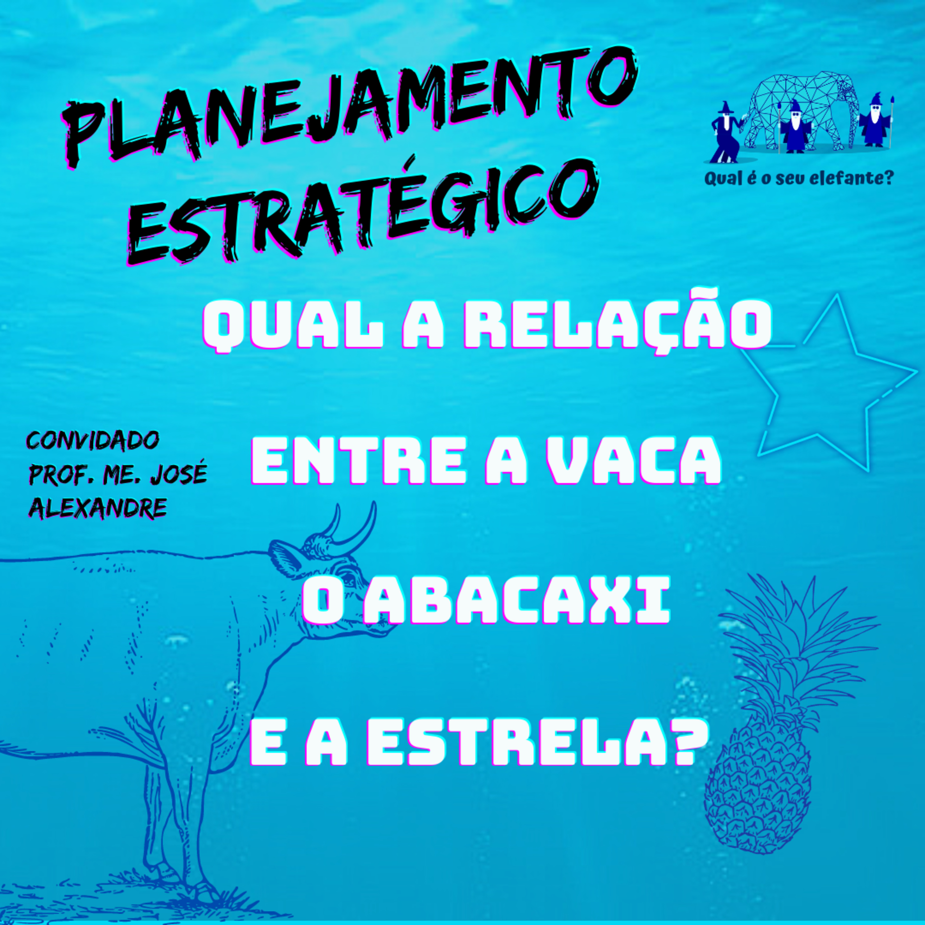 Qual é o Seu Elefante?