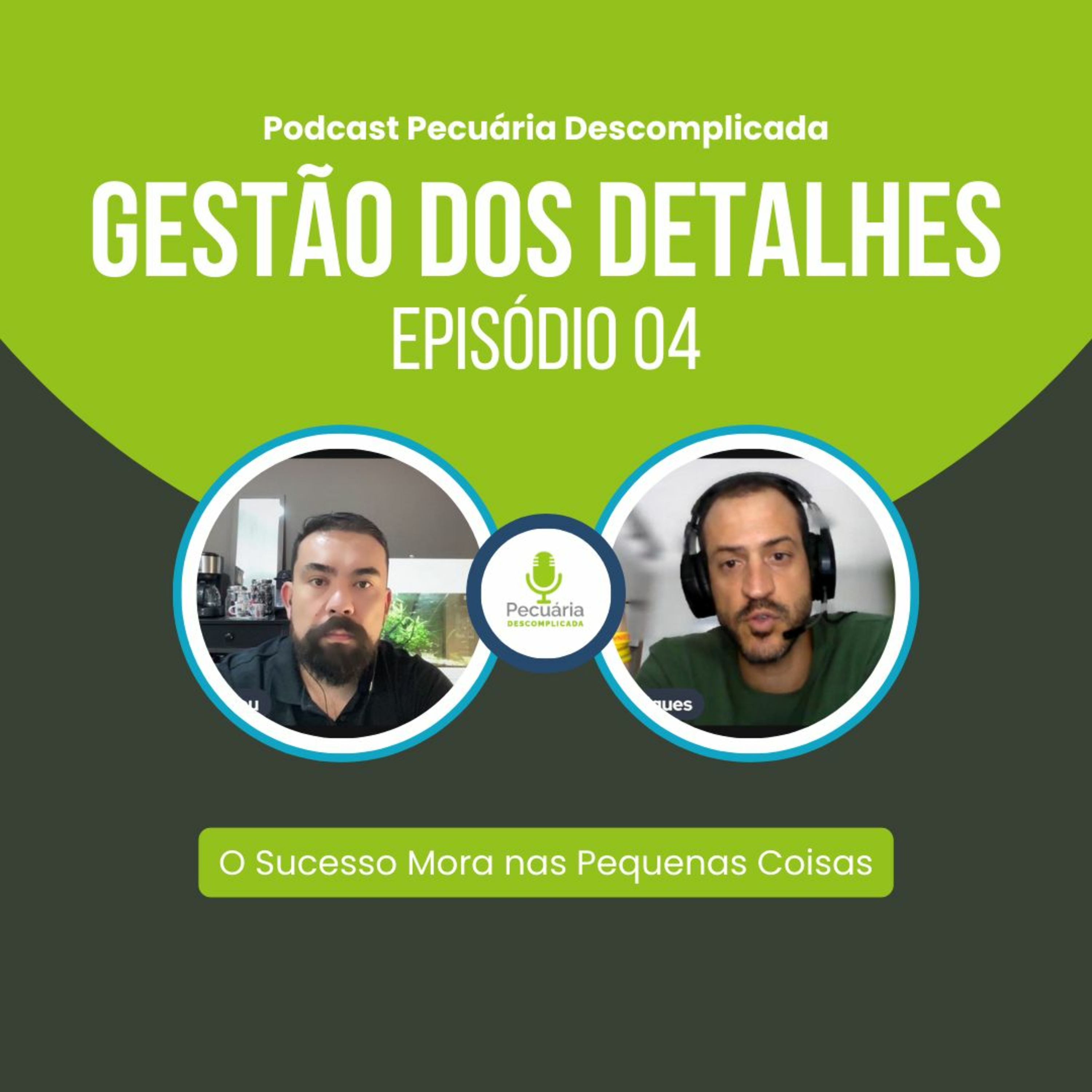 Gestão dos Detalhes 