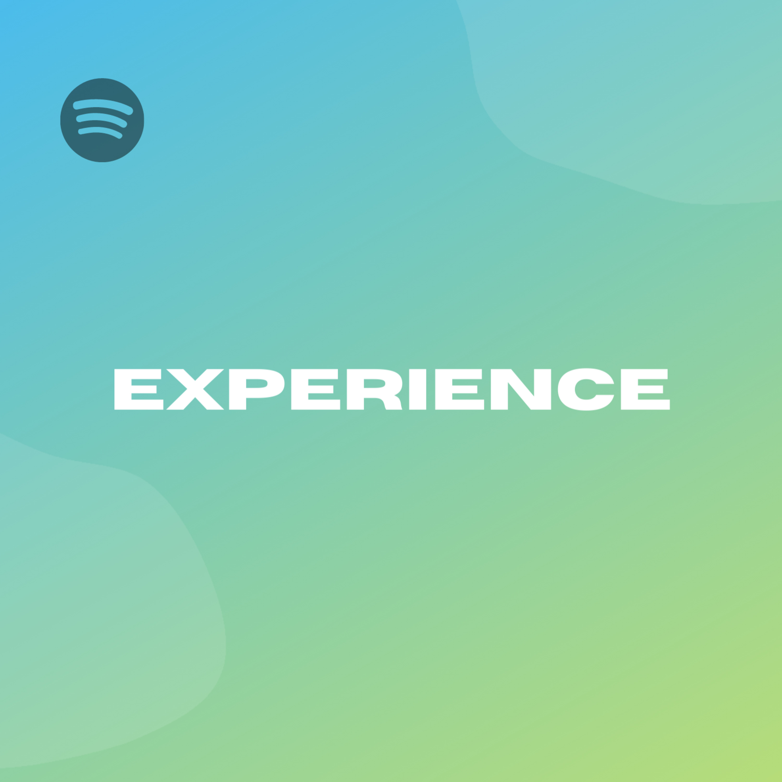 EXPERIENCE episode artwork
