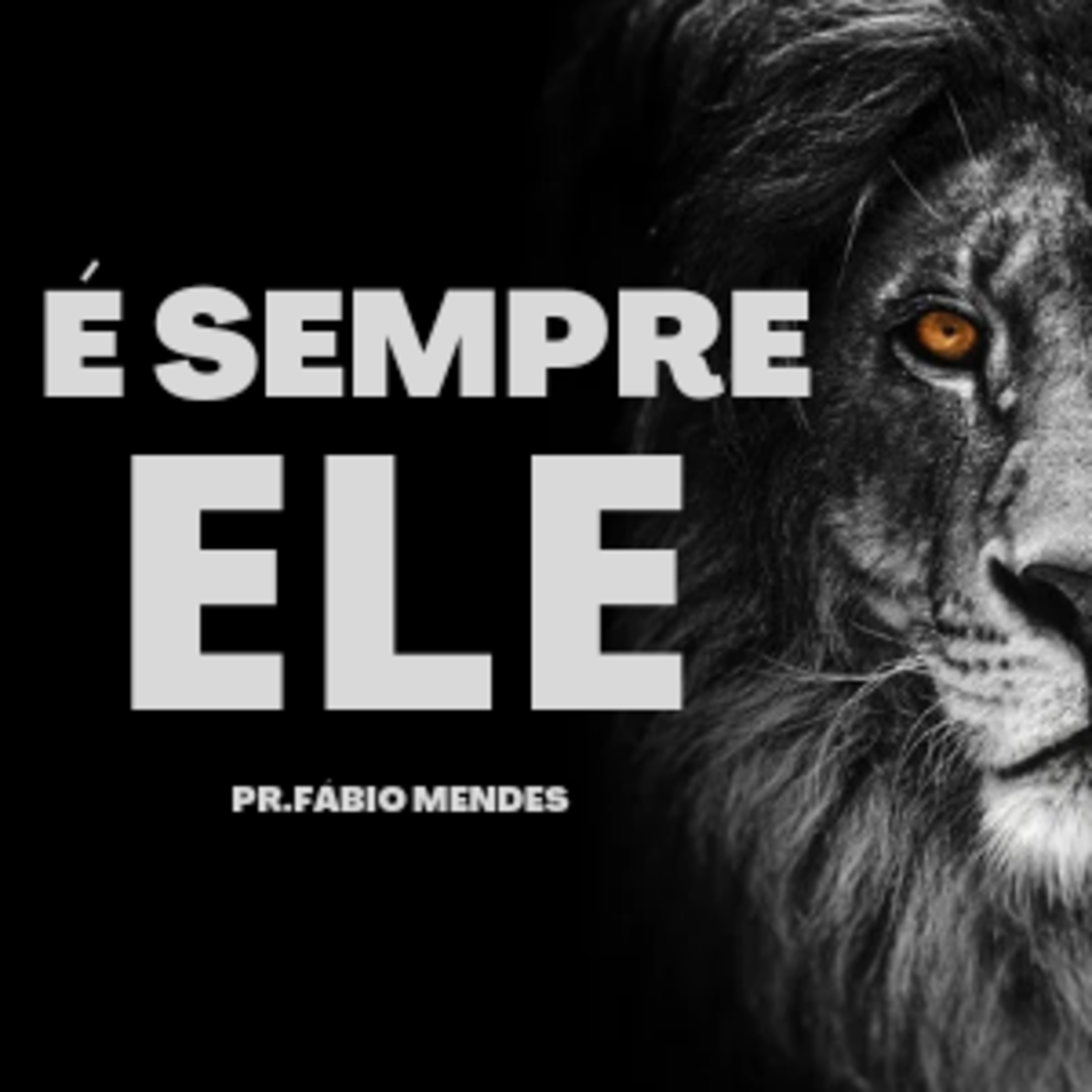 É SEMPRE ELE episode artwork