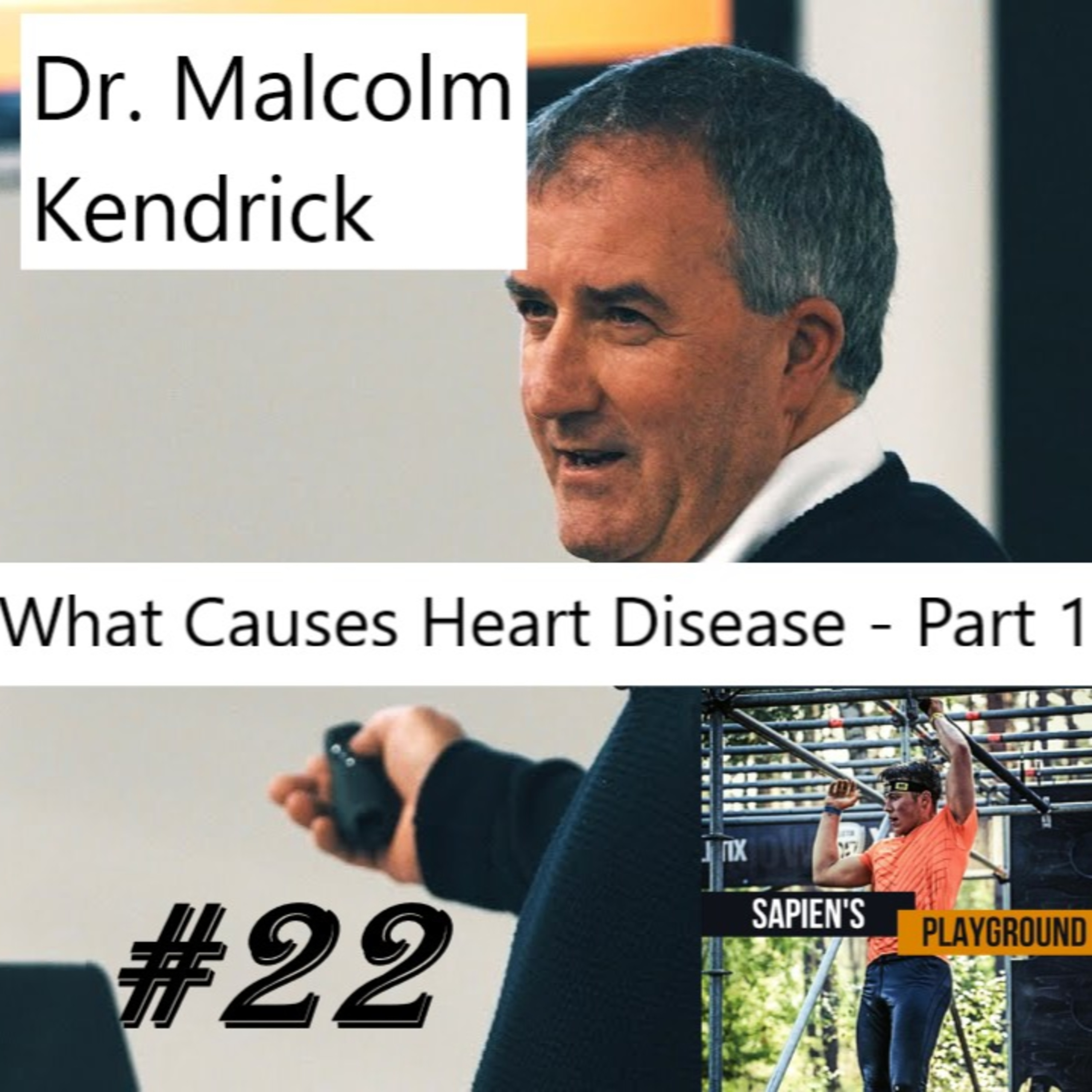 Sapien\'s Playground - Medicine, Psychology, Truth Seeking and Fascinating Experiences