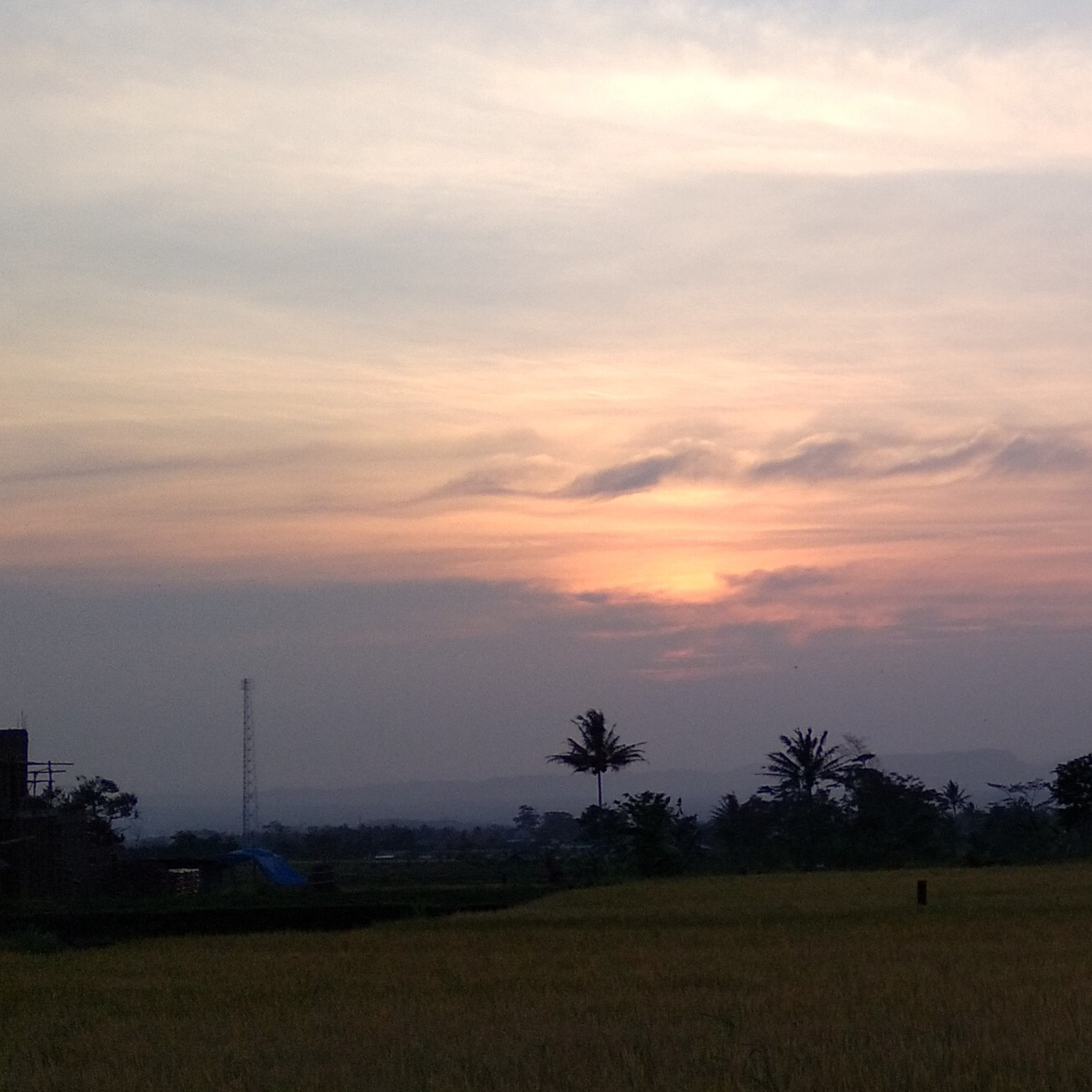 Umoja Village🌻