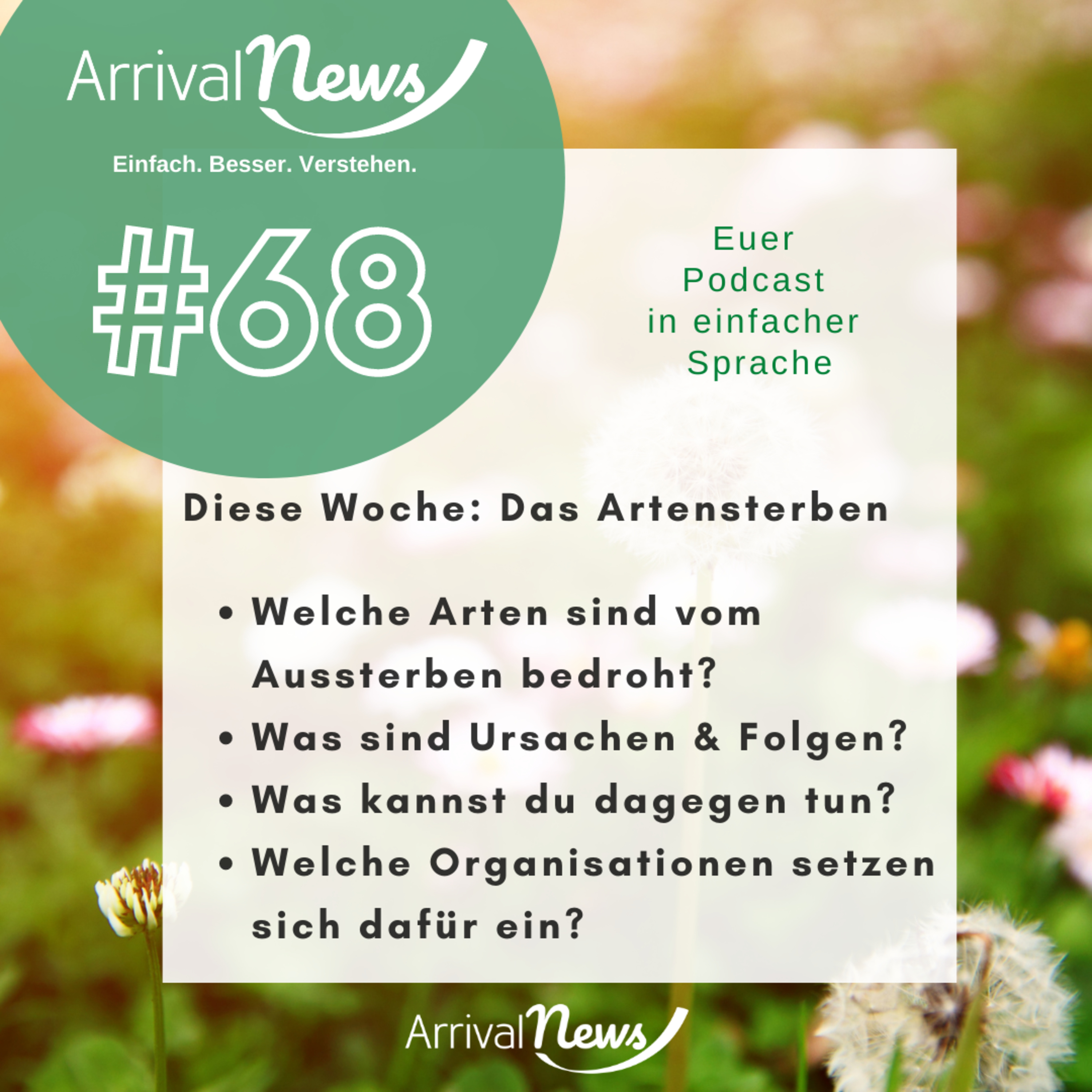 ArrivalNews Wochenupdate