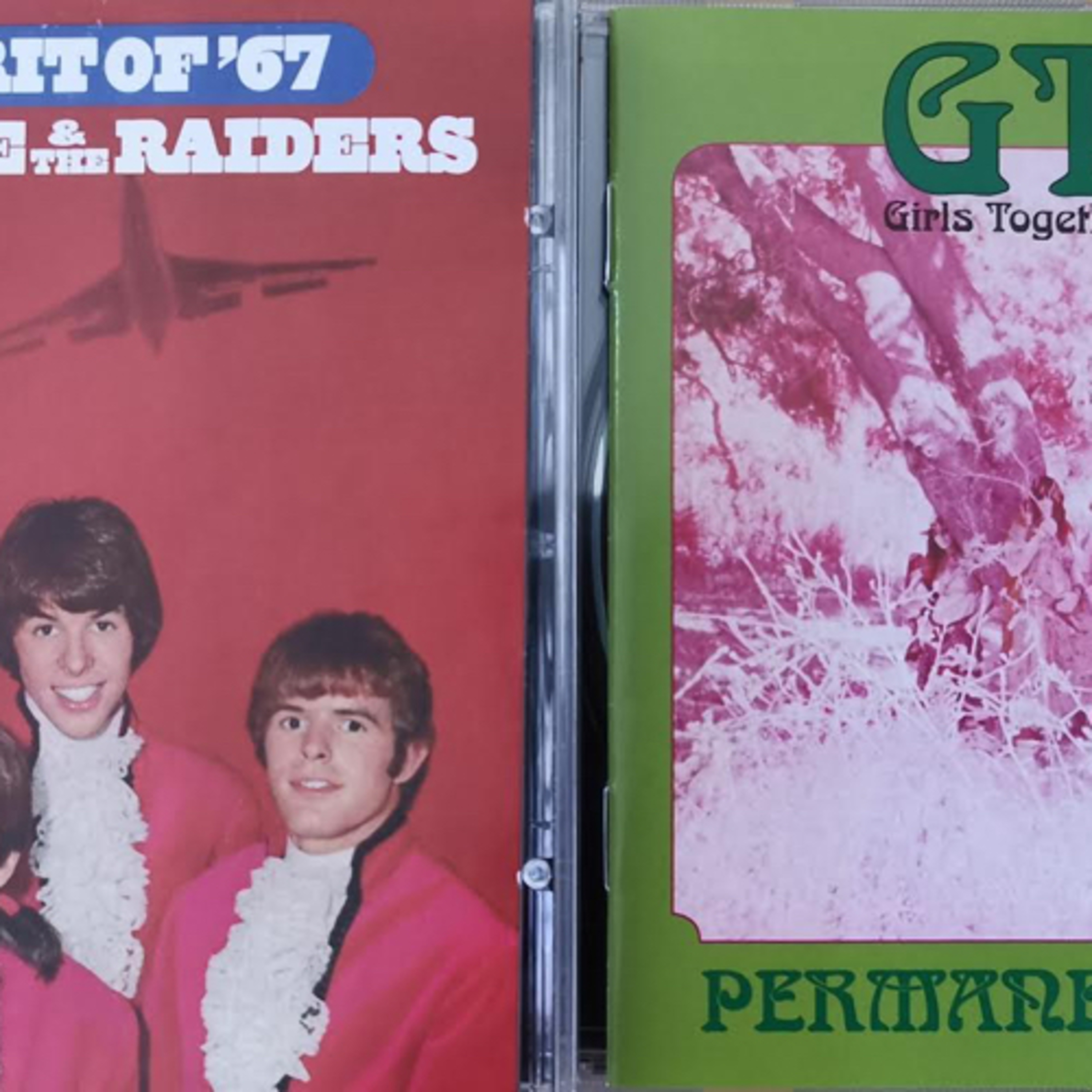 016 Spirit of ‘67 (Paul Revere & The Raiders) / Permanent Damage (The GTOs) episode artwork