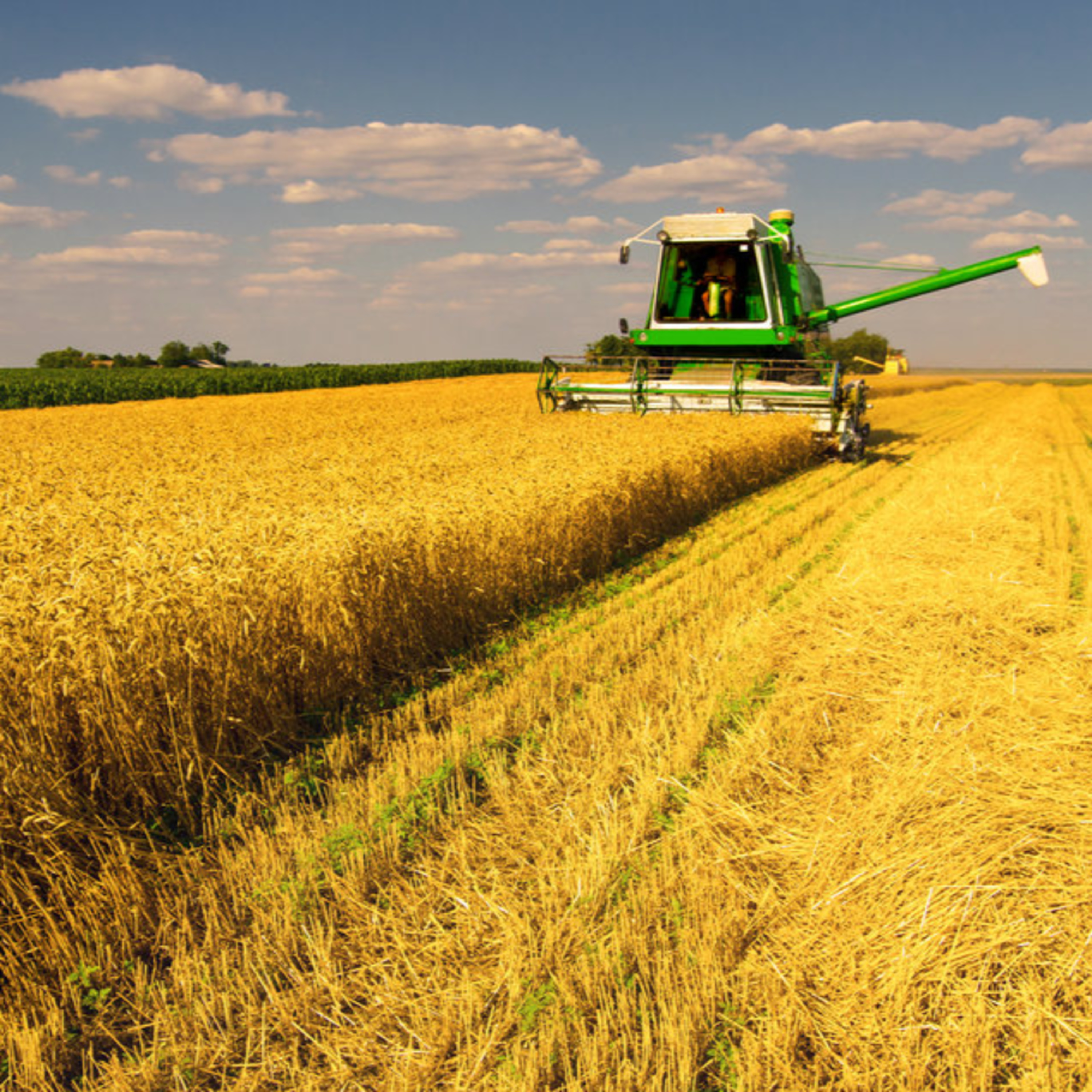 O campo e a agropecuária no Brasil