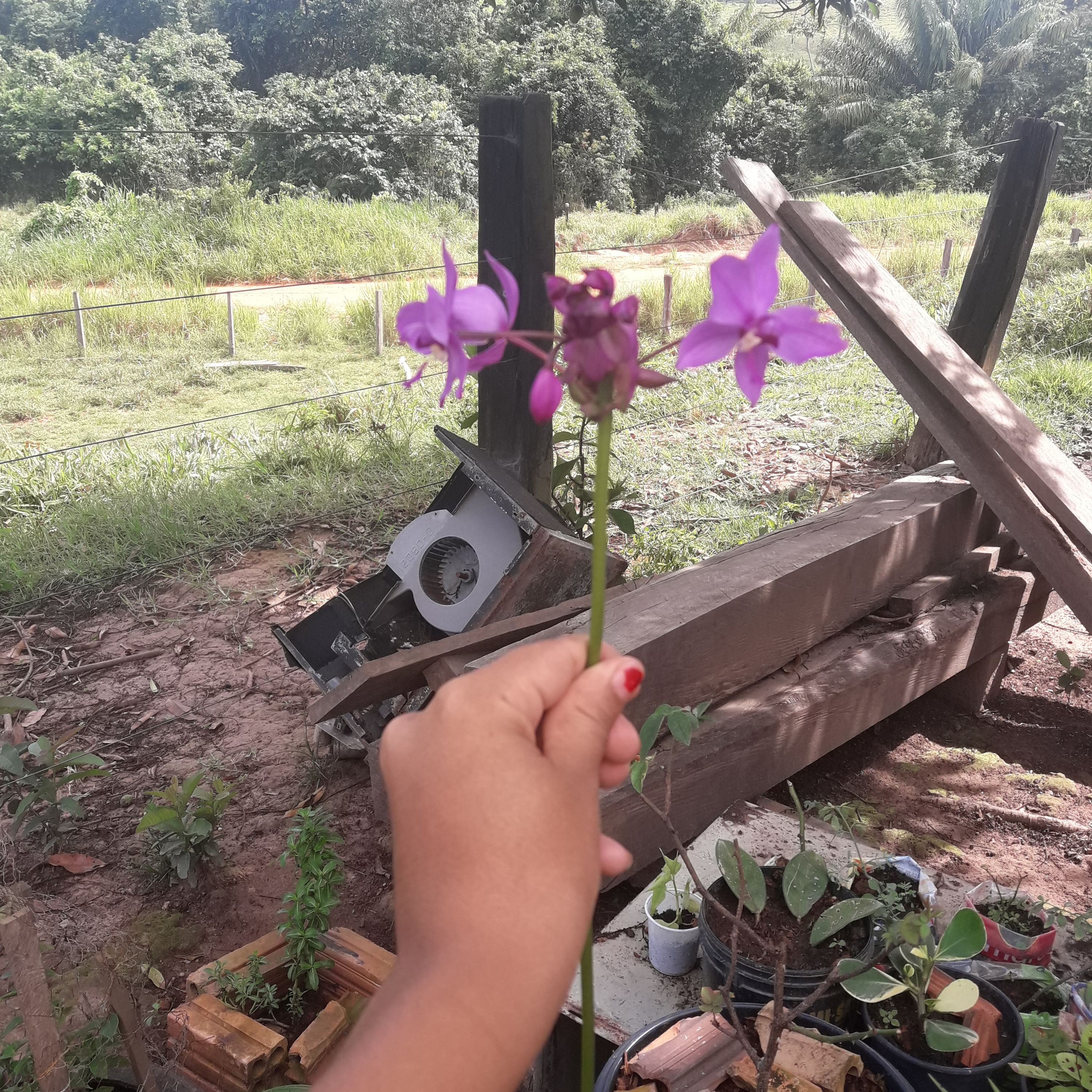Memórias escolares