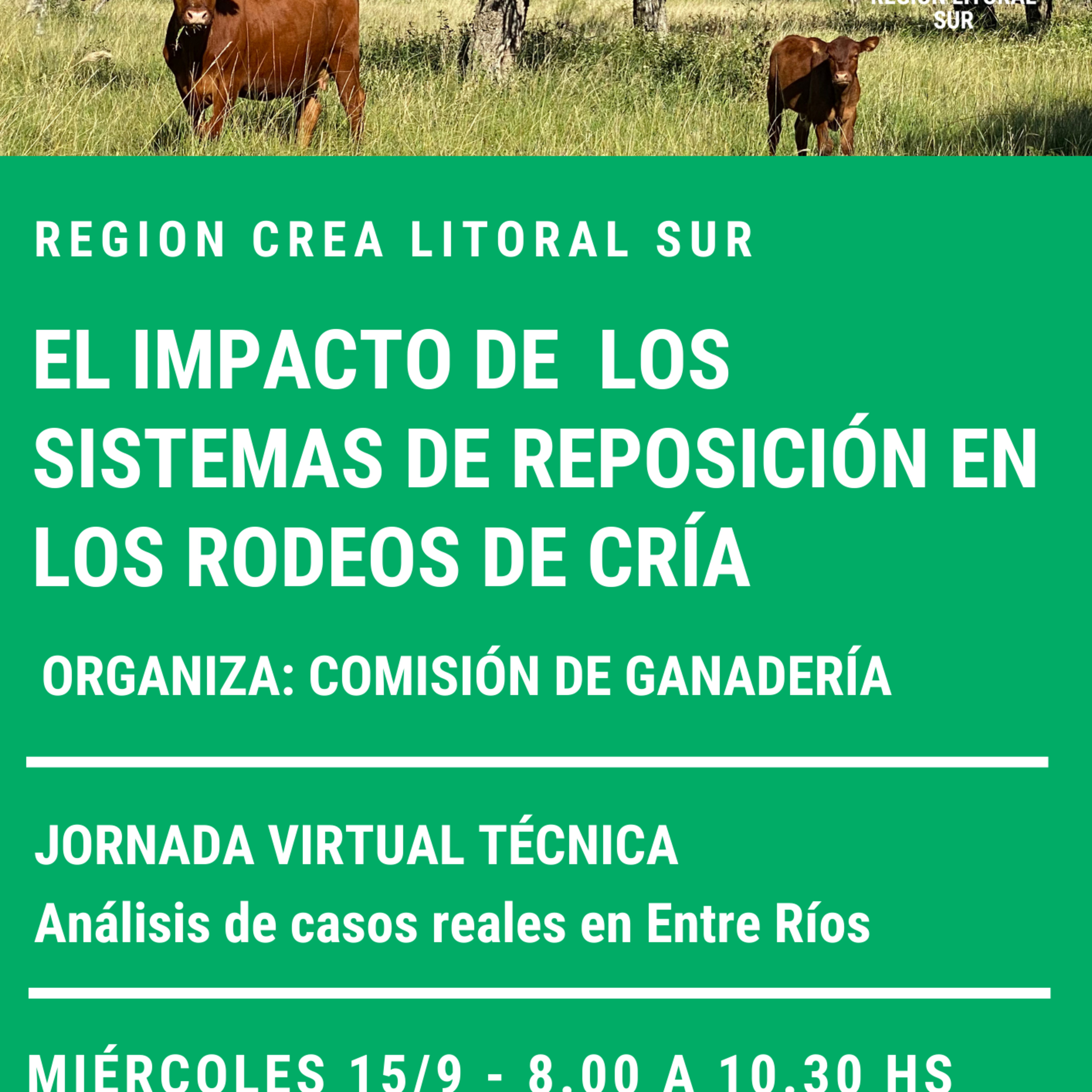El impacto de los sistemas de reposición en los rodeos de cría episode artwork