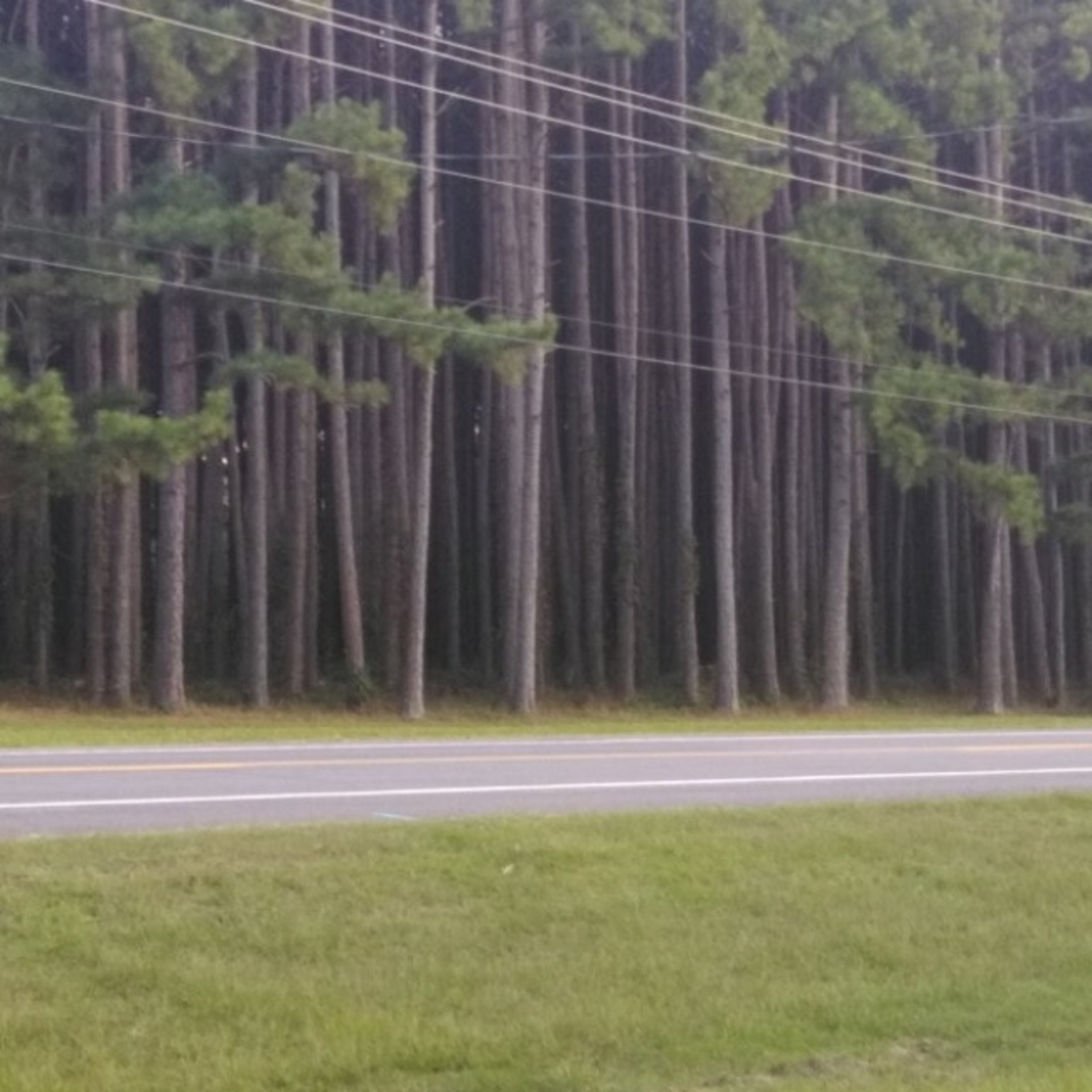 Natural State Highway 