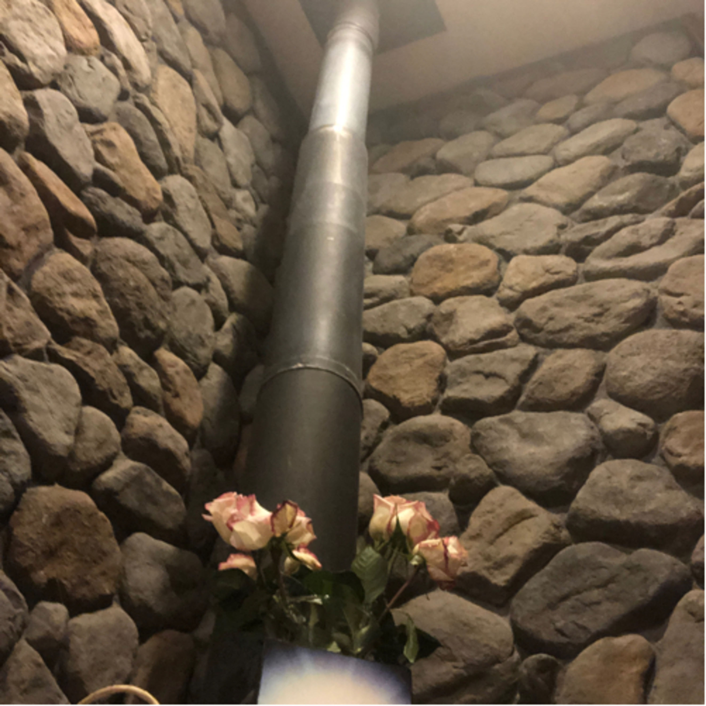 Sincronía Ekam con Martha Diaz