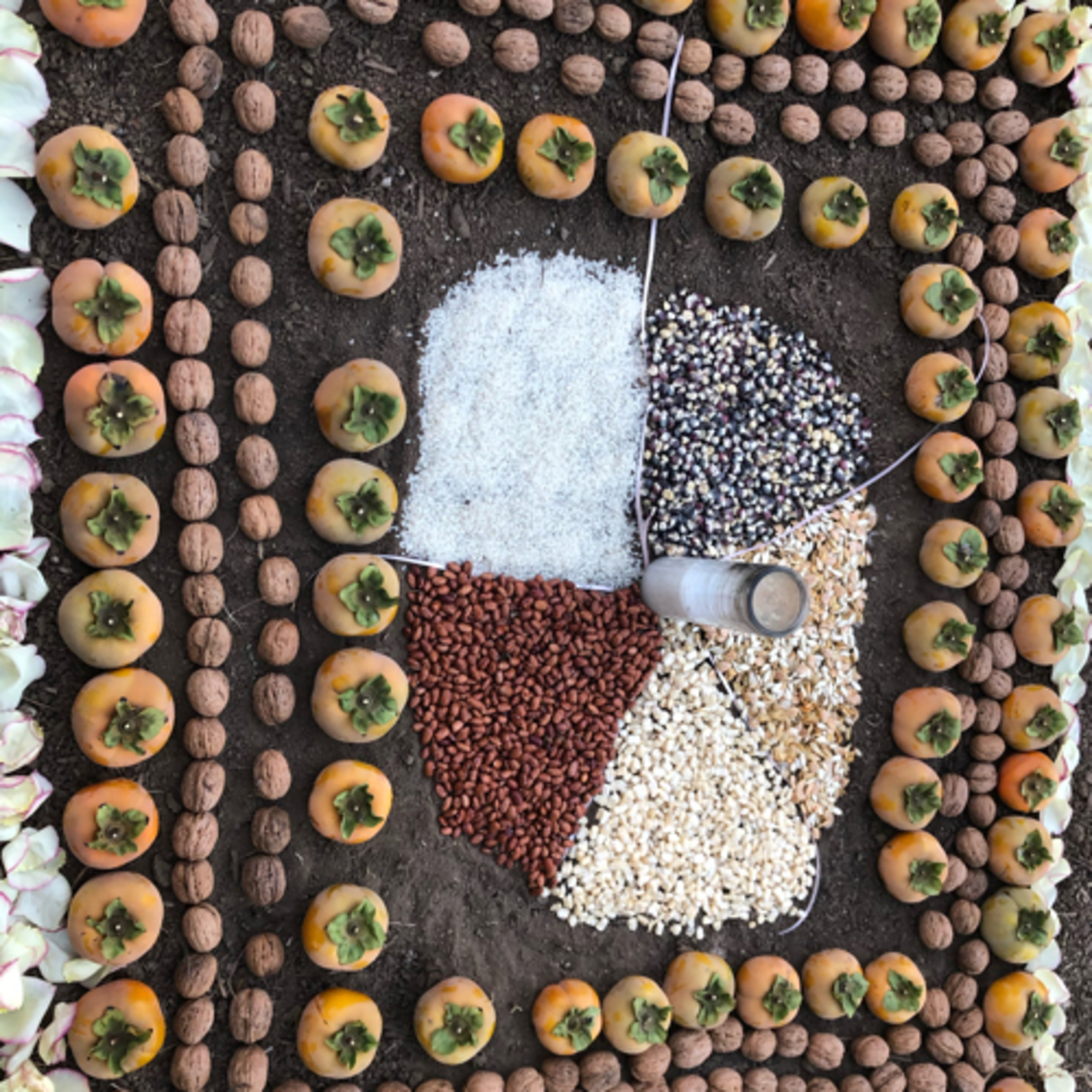 Sincronía Ekam con Martha Diaz