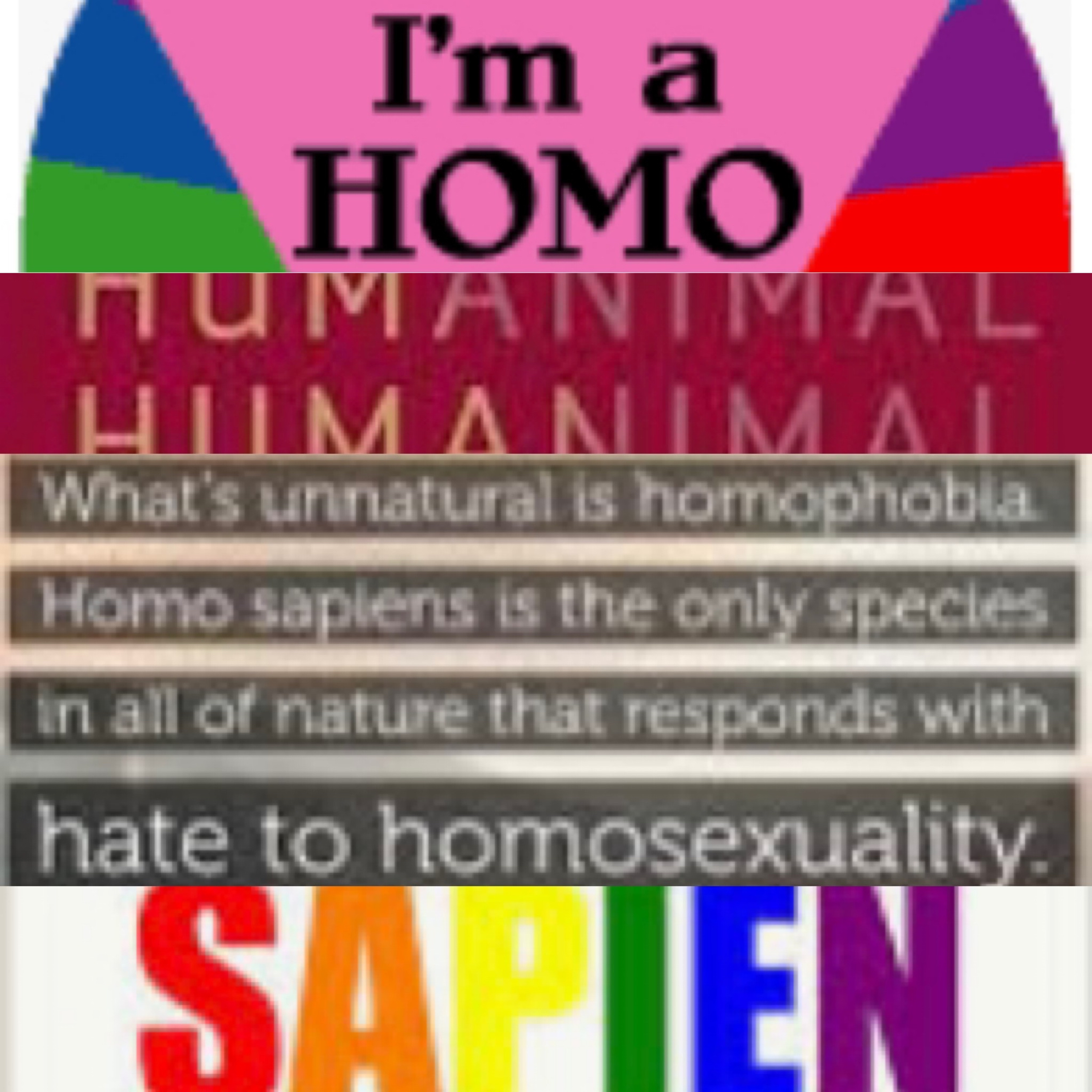 Homogenizing God (Pt. 1): The Homosexual Homo Sapien episode artwork