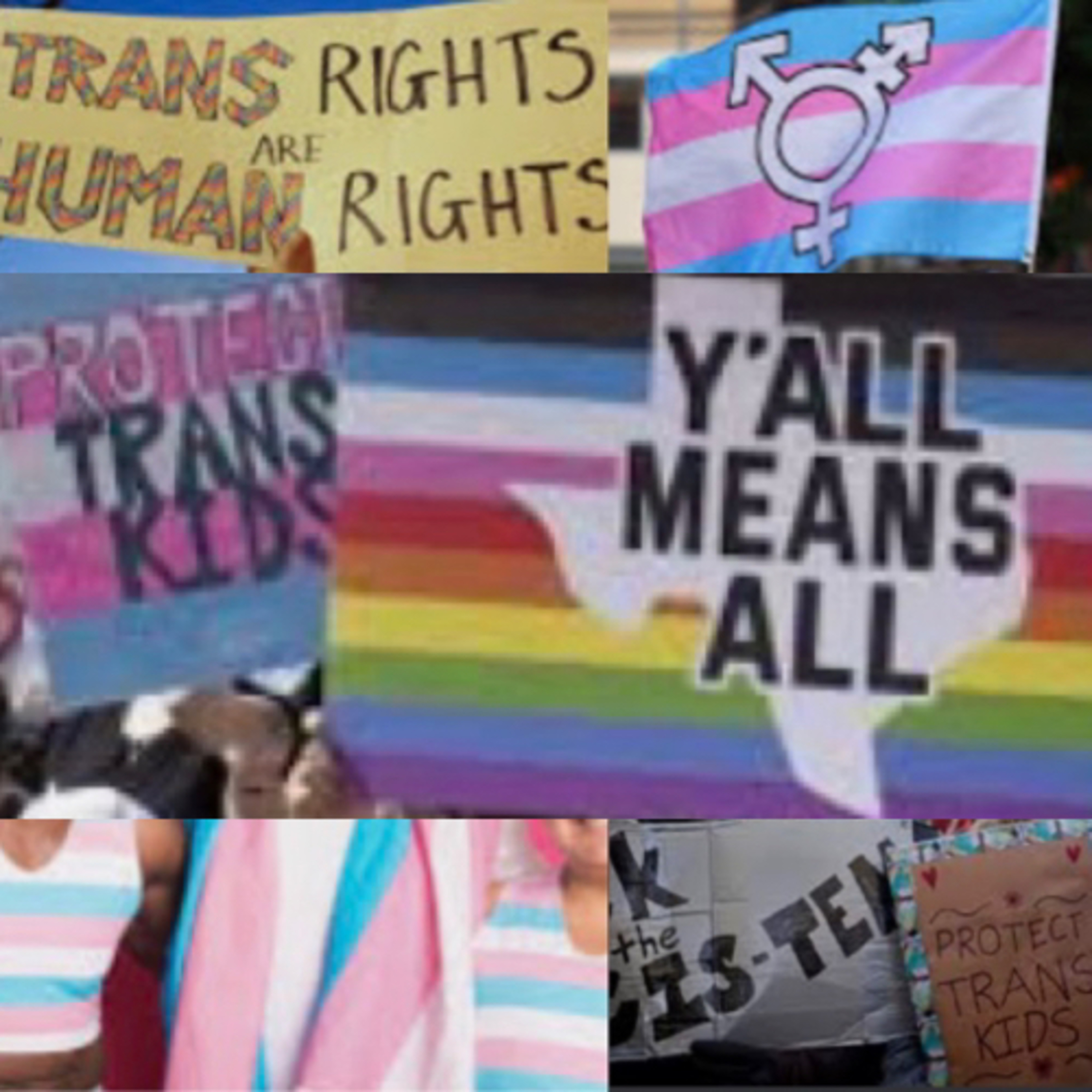 Transcendent Transgenders episode artwork