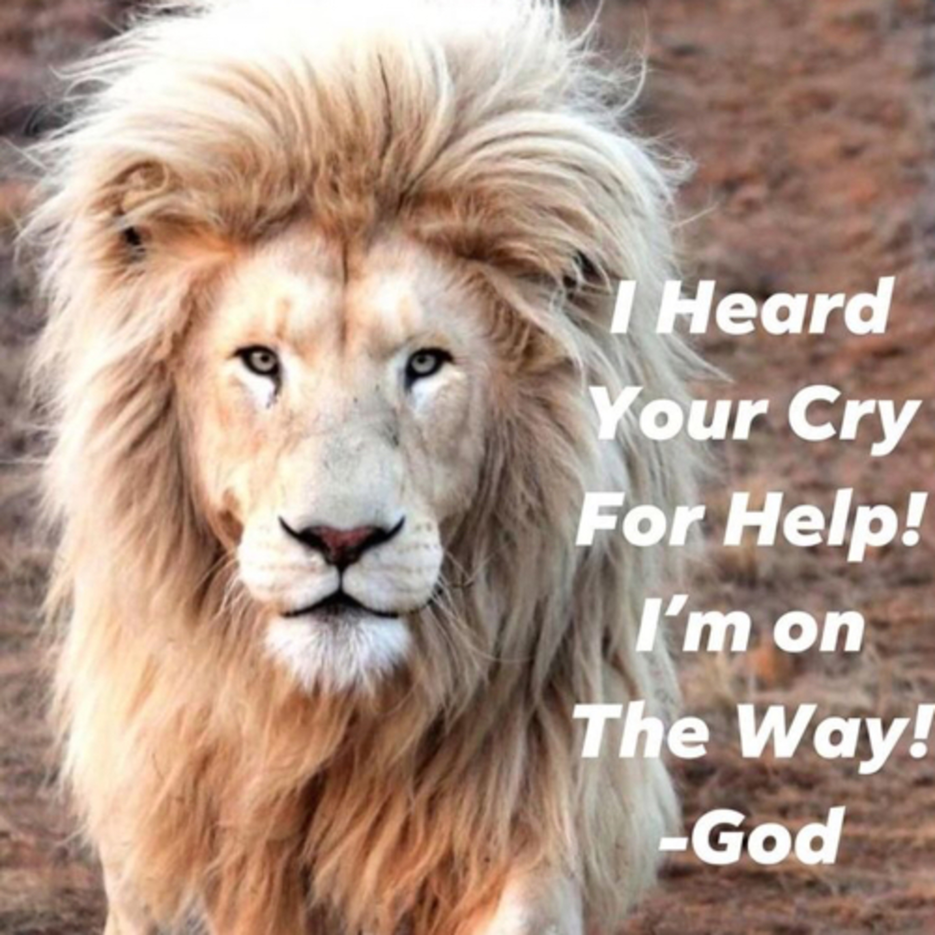 WIND OF THE SPIRIT MINISTRIES