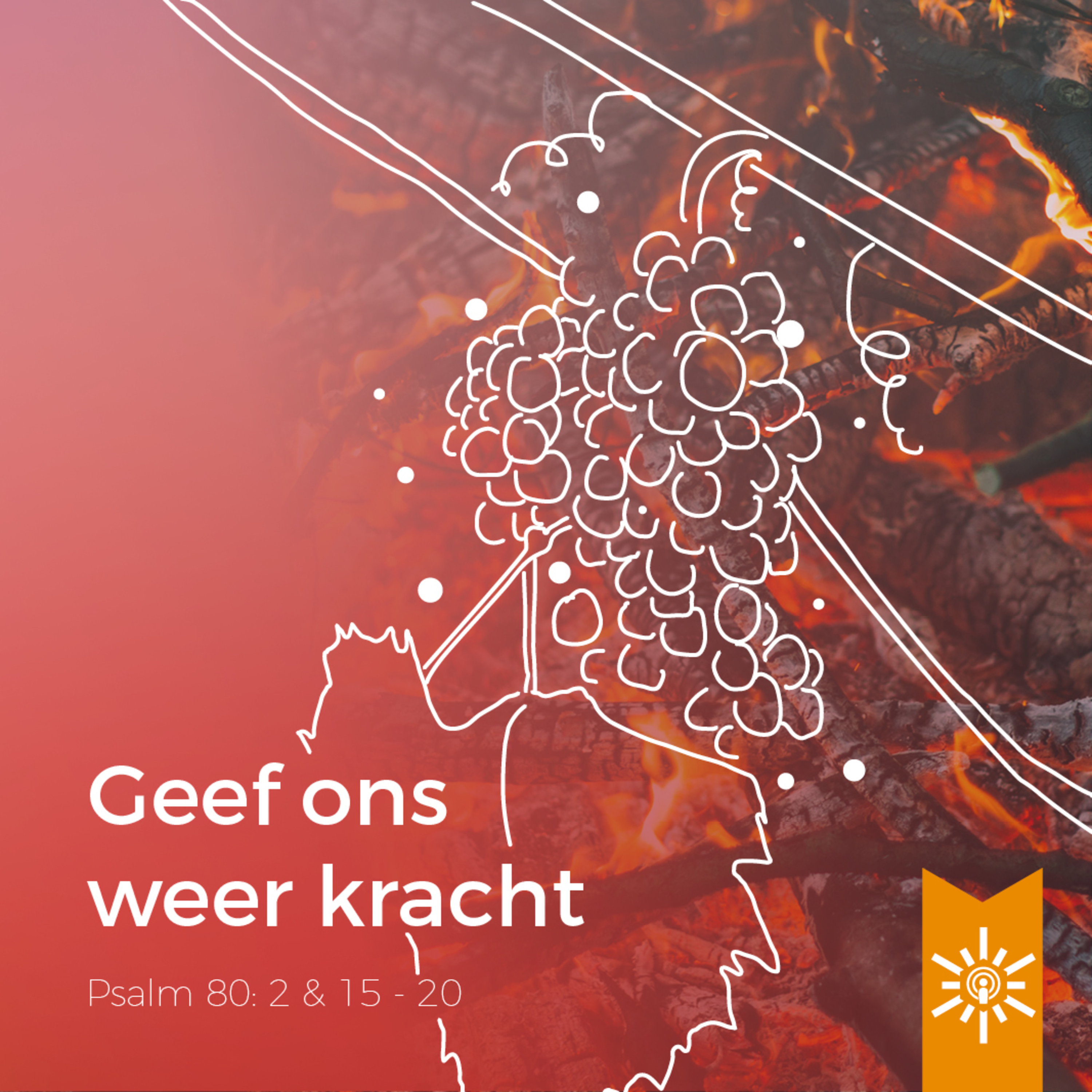 Psalmenpodcast - Blijf kalm met een Psalm