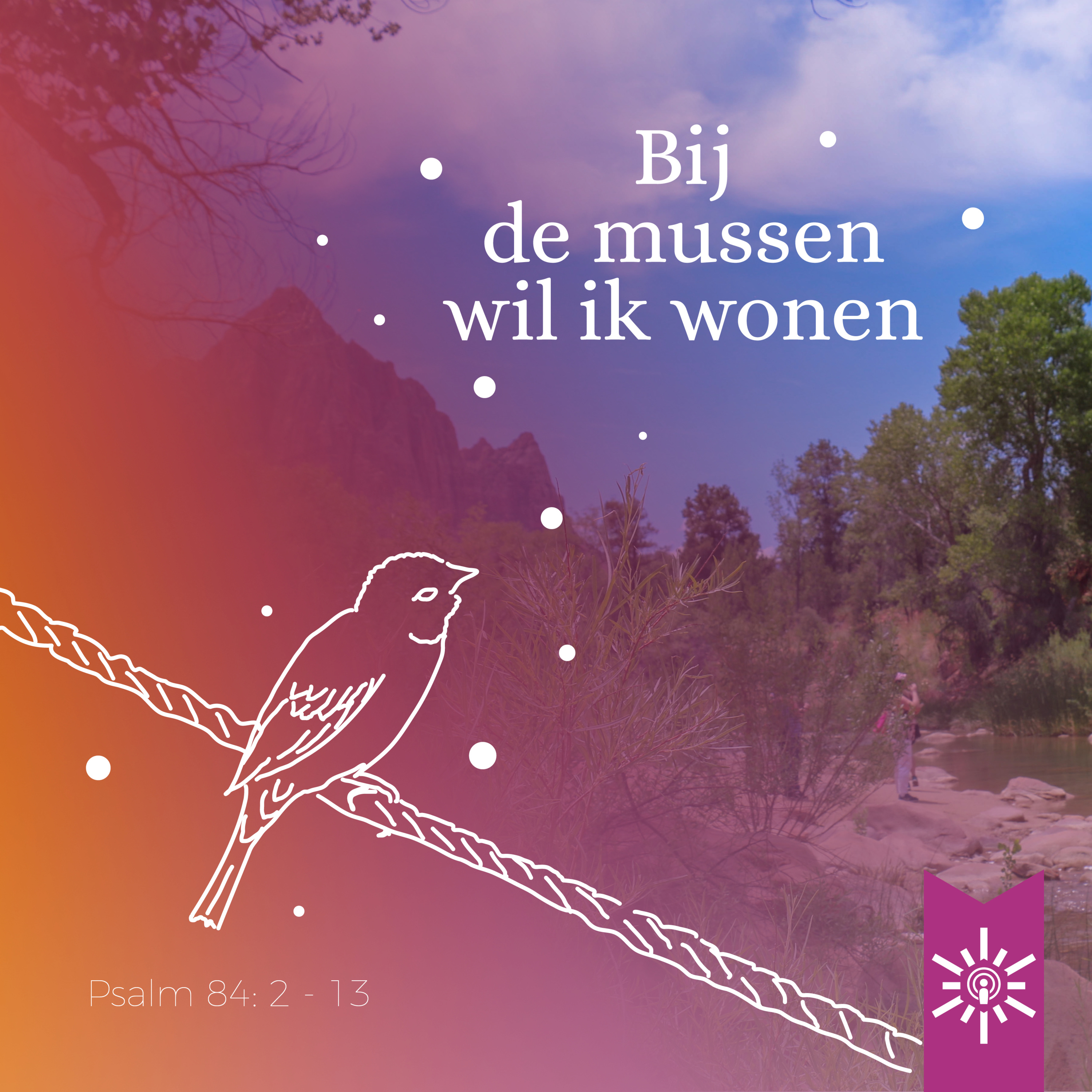 Psalmenpodcast - Blijf kalm met een Psalm