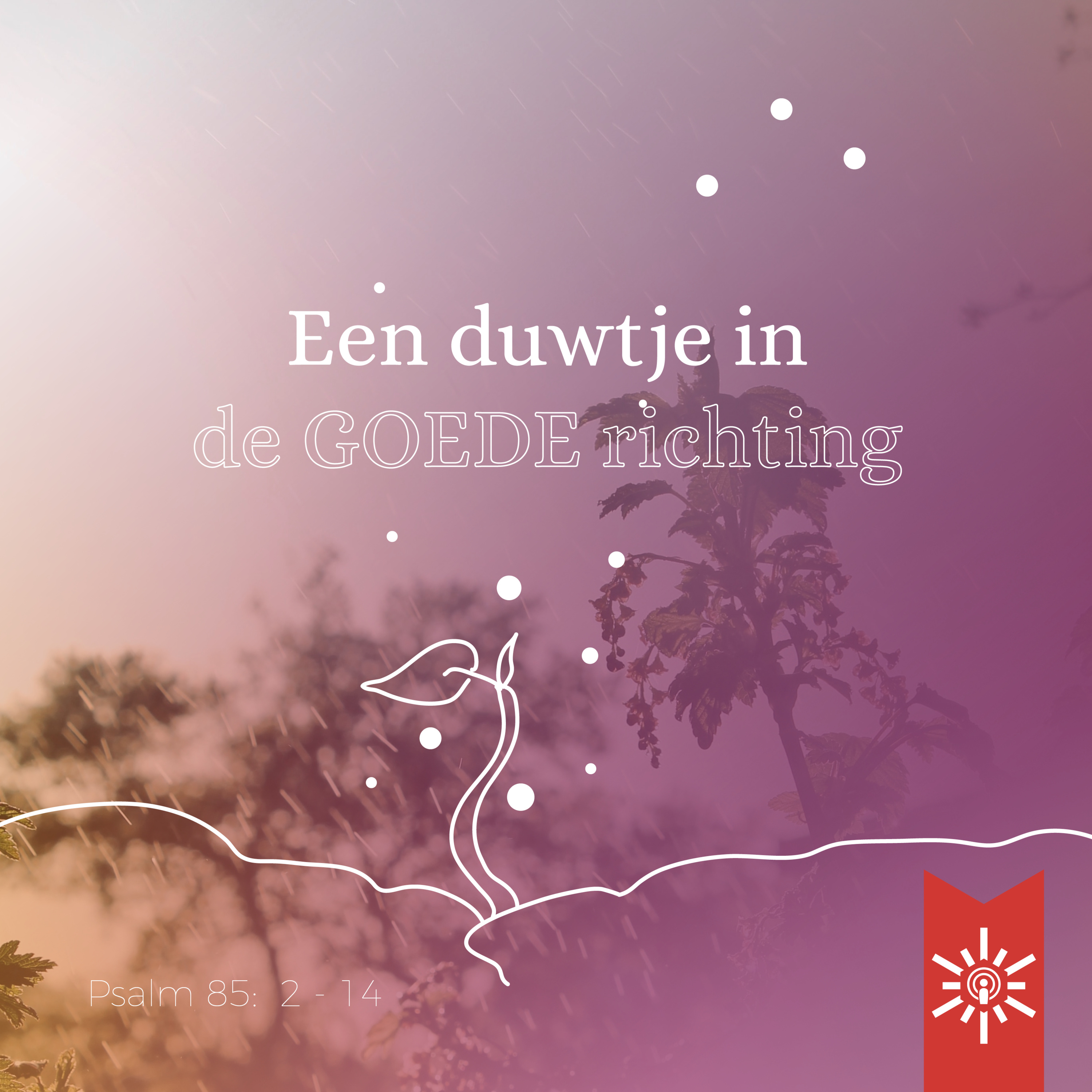 Psalmenpodcast - Blijf kalm met een Psalm