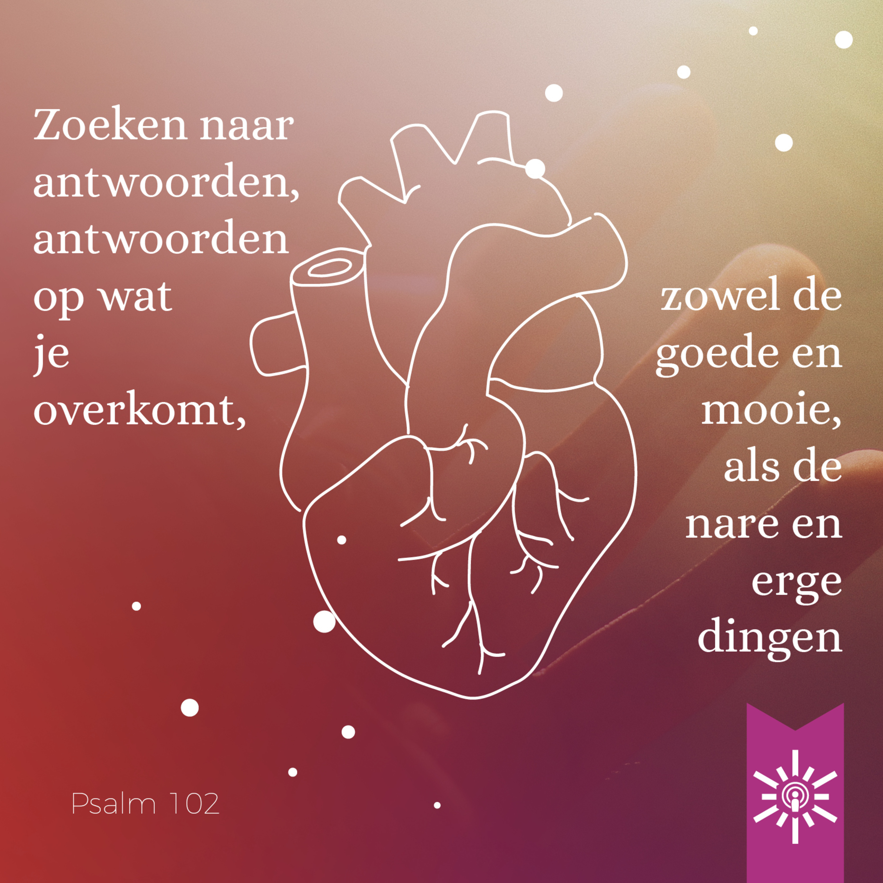 Psalmenpodcast - Blijf kalm met een Psalm