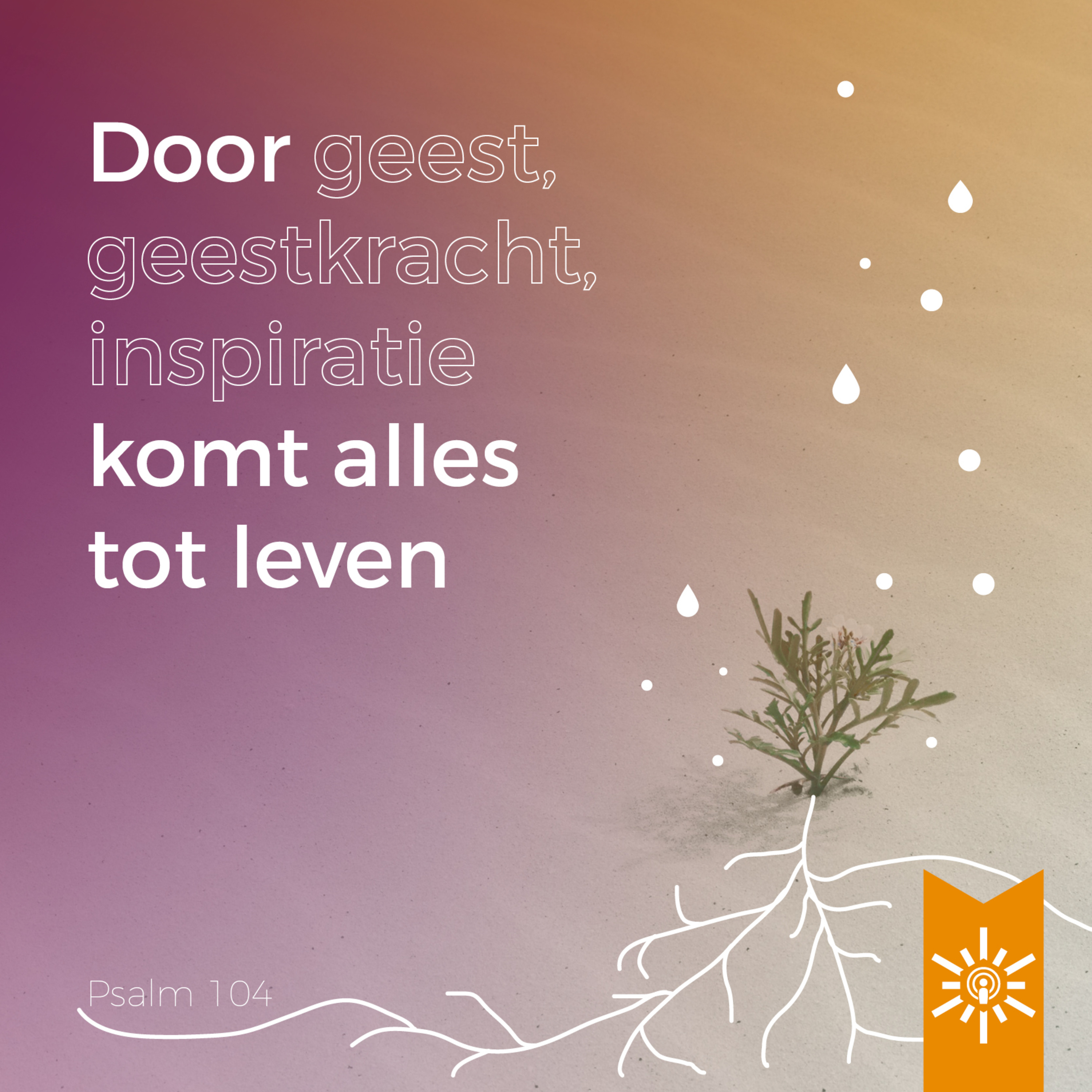 Psalmenpodcast - Blijf kalm met een Psalm