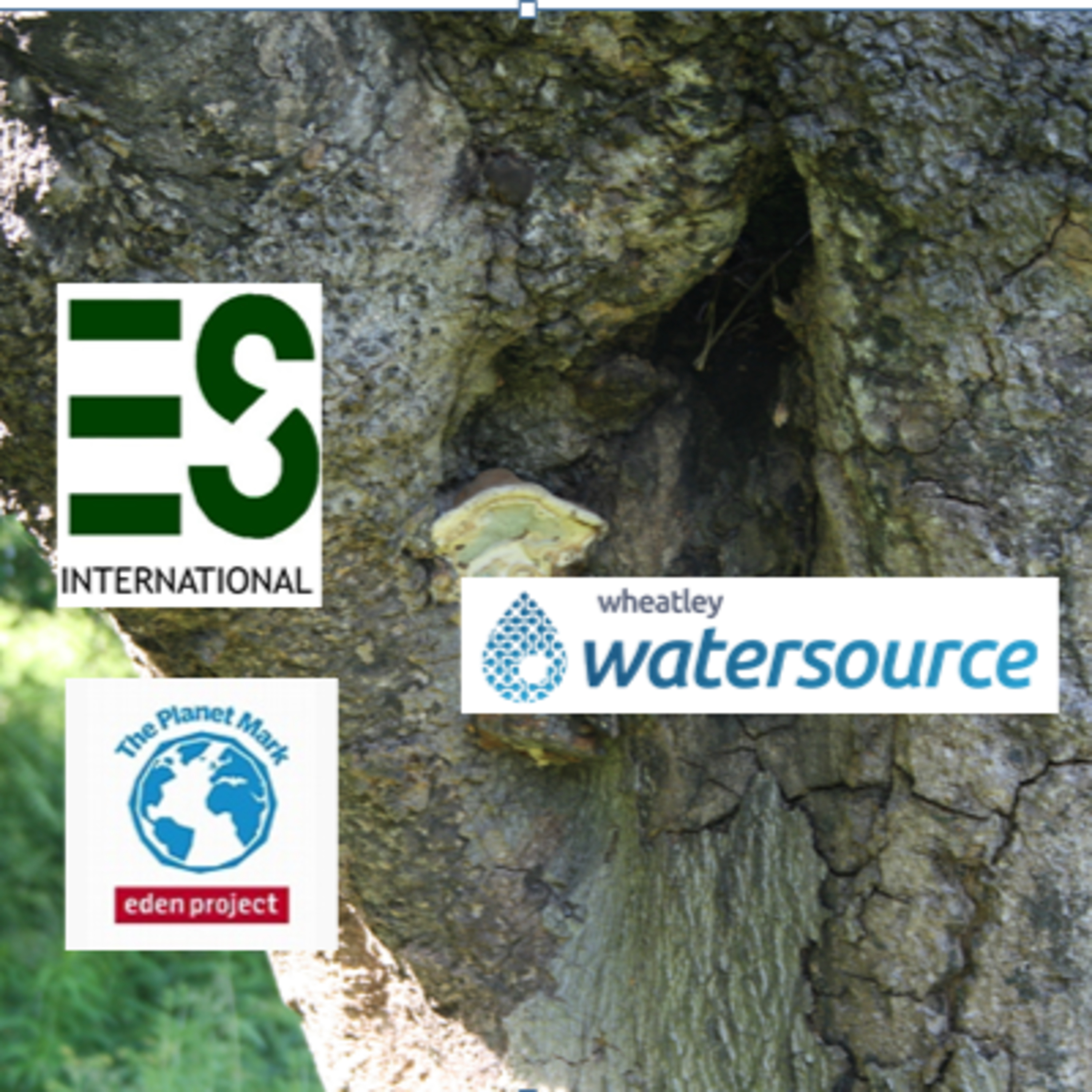 The ESi Environmental Podcast