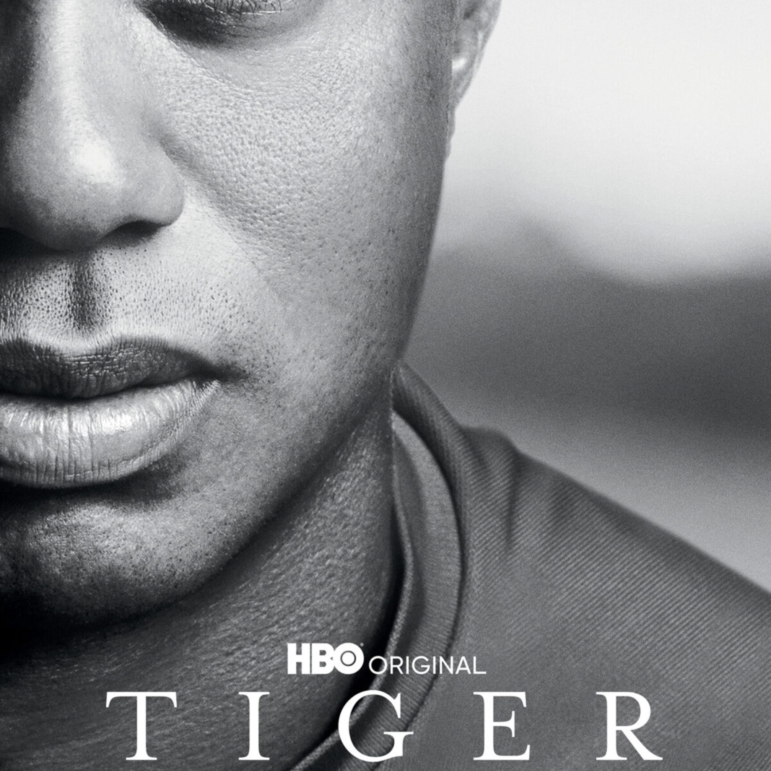 96.NSH - Tiger - 16/04 episode artwork