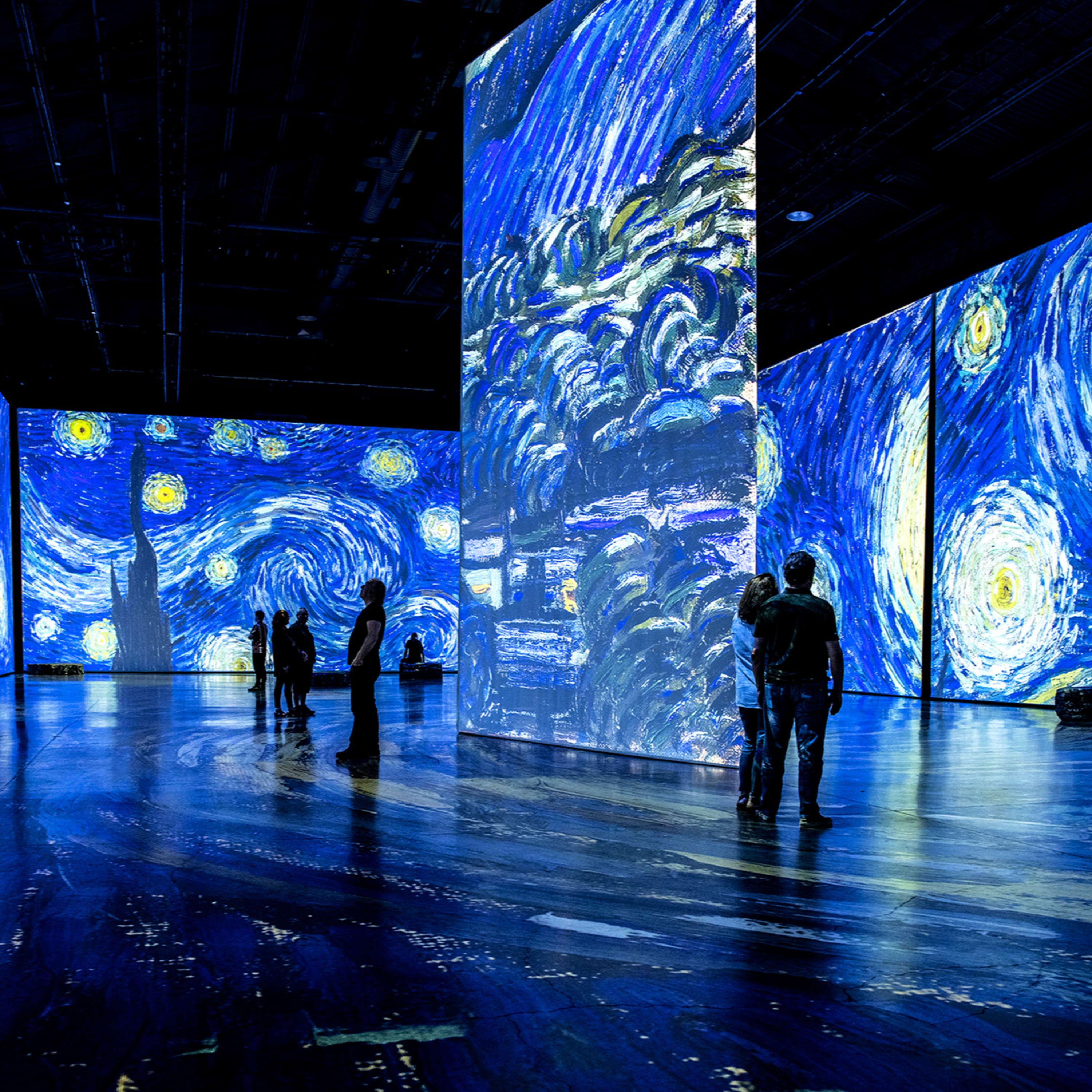 147. NSH - Imagine Van Gogh - 28/2 episode artwork