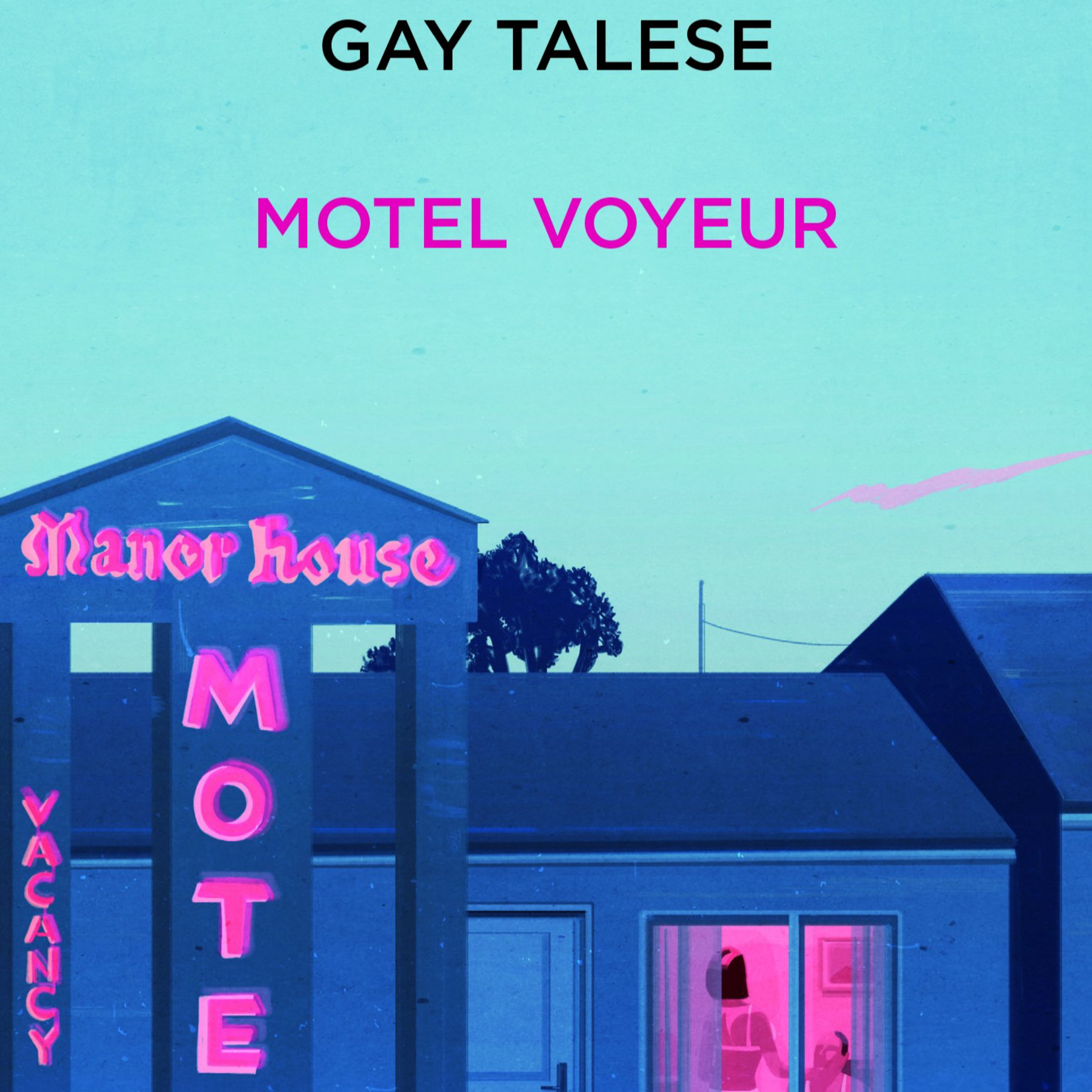 171. NSH - Gay Talese: El motel del voyeur - 25/7 episode artwork