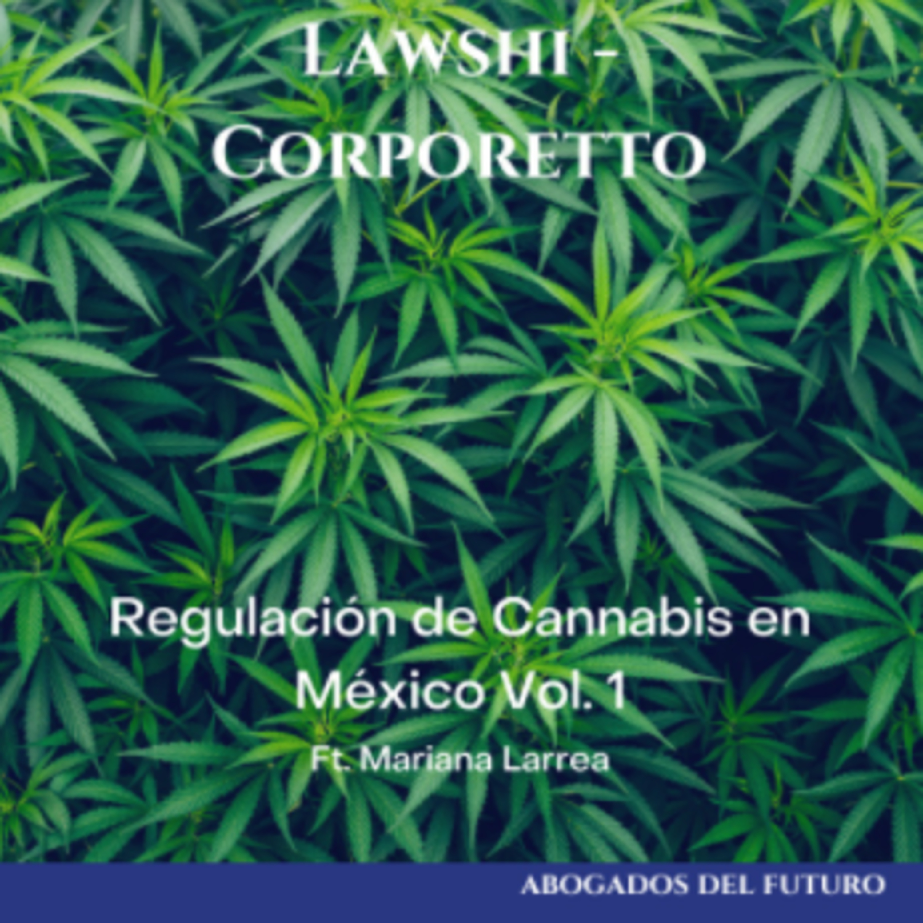 Los Abogados del Futuro