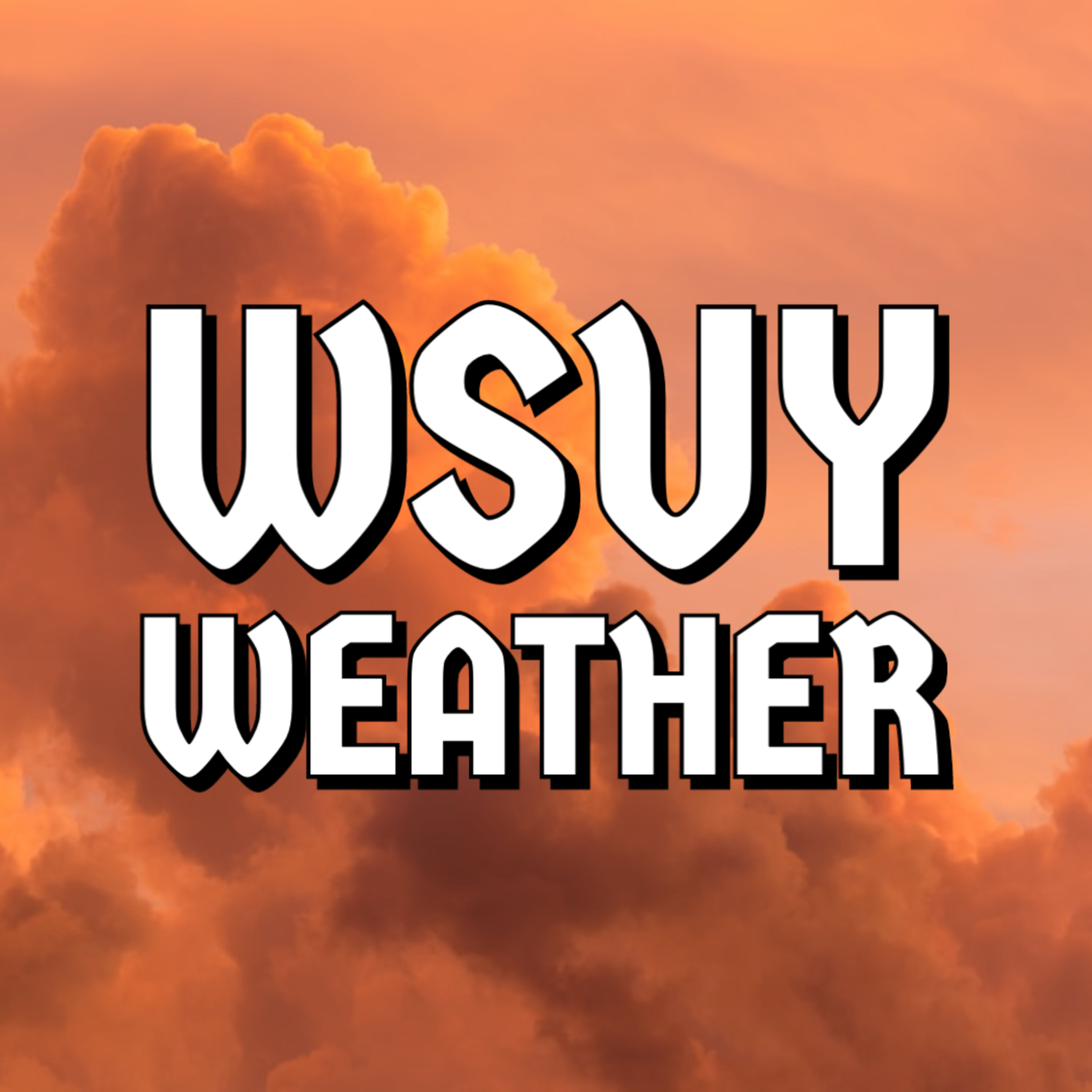 WSUY Weather - Raid Update episode artwork