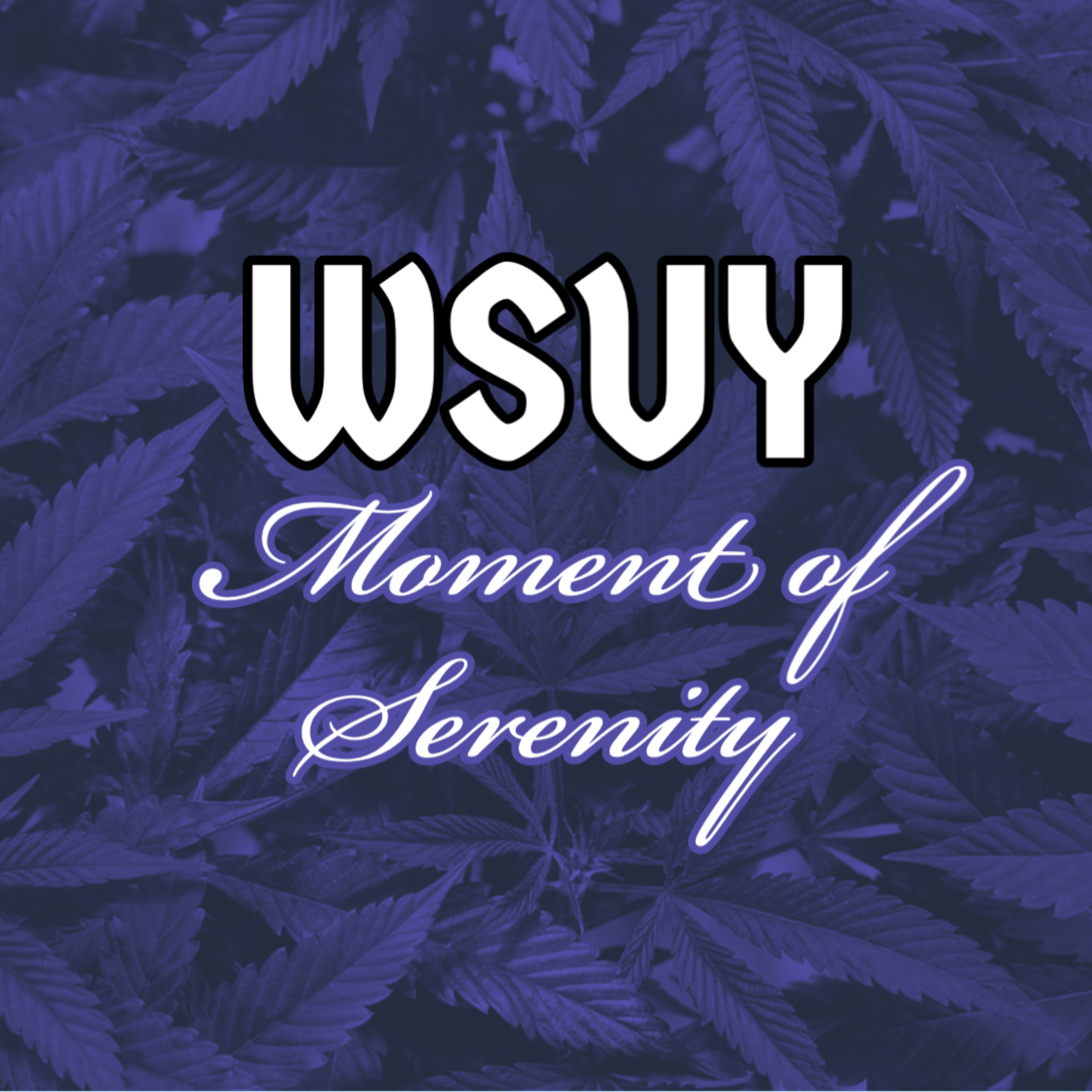 WSUY Moment of Serenity - 02