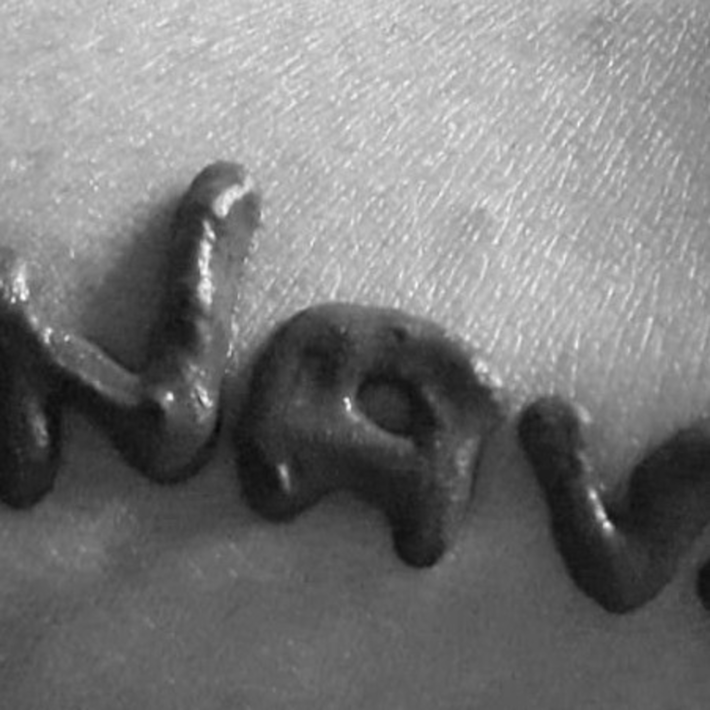 Navjottunes                                   (Punjabi Muttiyaar)