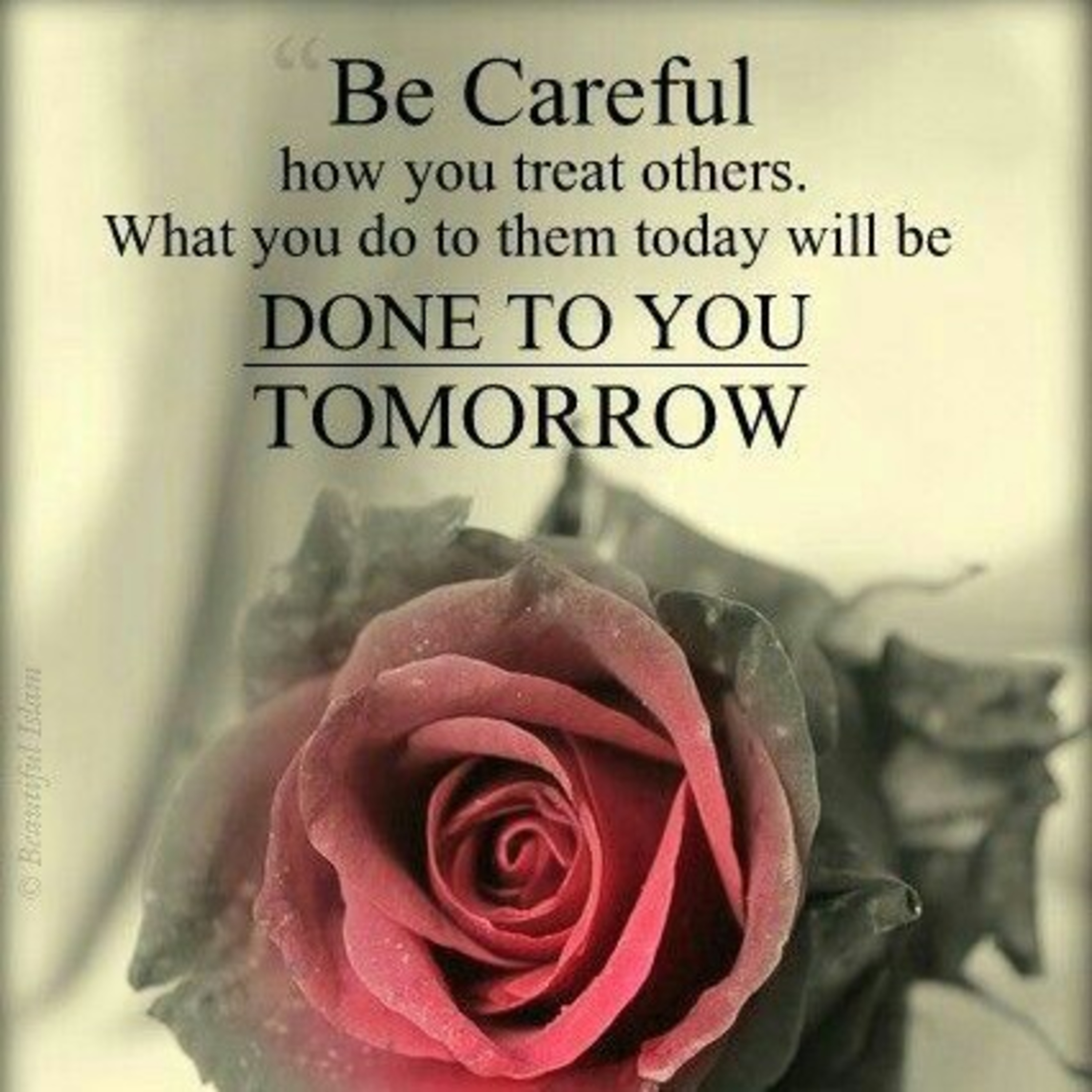 Navjottunes                                   (Punjabi Muttiyaar)